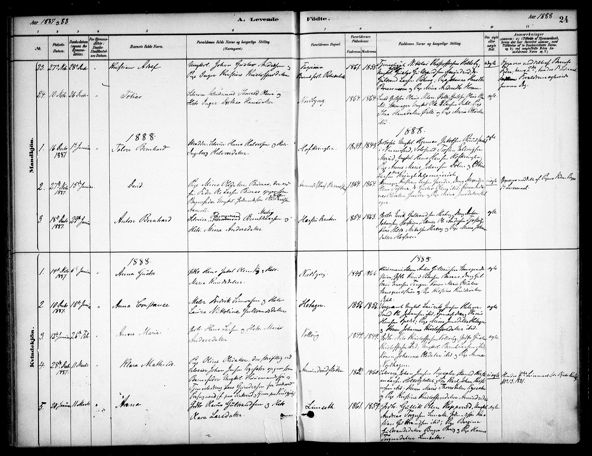 Nannestad prestekontor Kirkebøker, AV/SAO-A-10414a/F/Fc/L0001: Ministerialbok nr. III 1, 1881-1892, s. 24