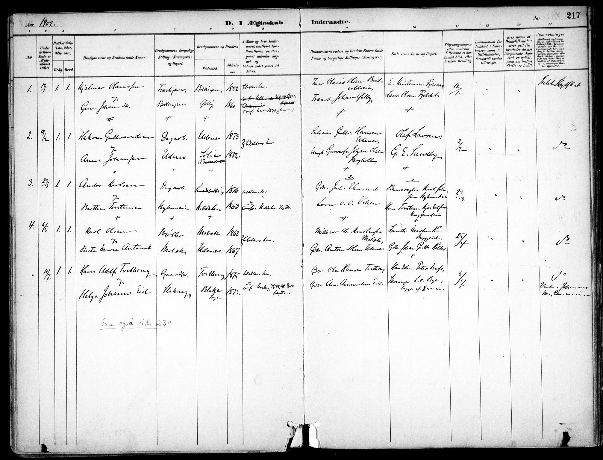 Nes prestekontor Kirkebøker, AV/SAO-A-10410/F/Fc/L0002: Ministerialbok nr. IIi 2, 1882-1916, s. 217