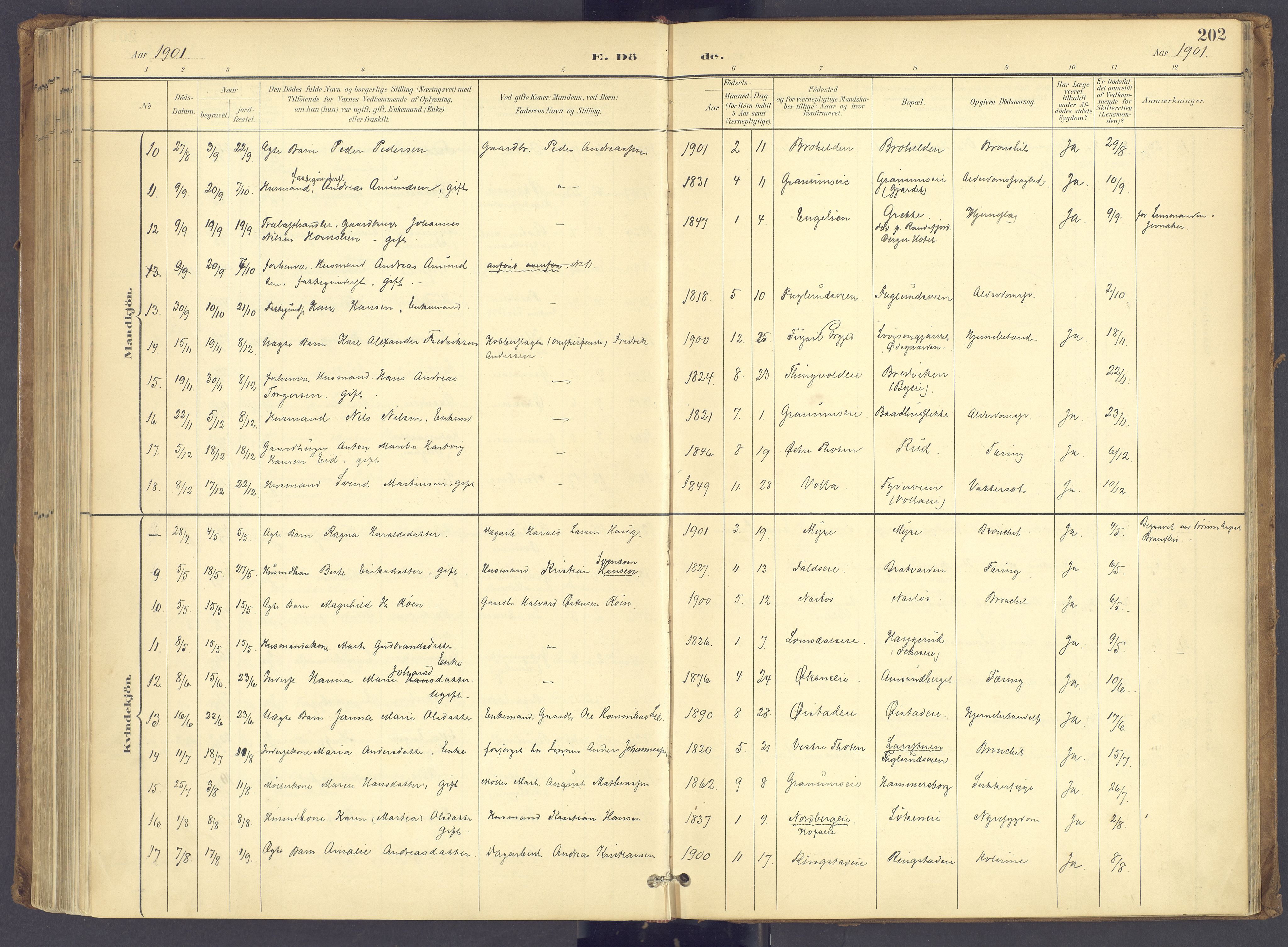 Søndre Land prestekontor, SAH/PREST-122/K/L0006: Ministerialbok nr. 6, 1895-1904, s. 202