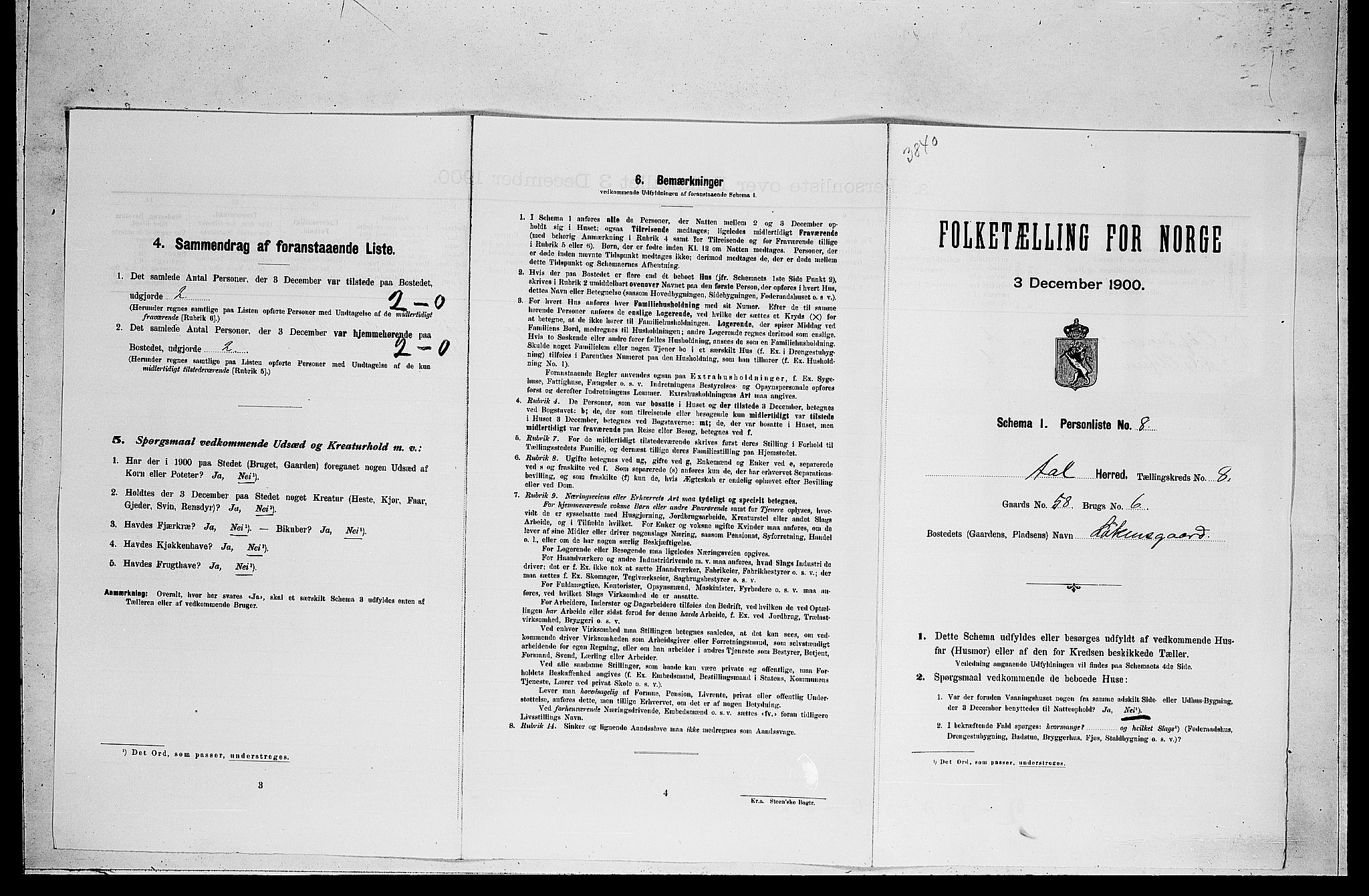 RA, Folketelling 1900 for 0619 Ål herred, 1900, s. 697