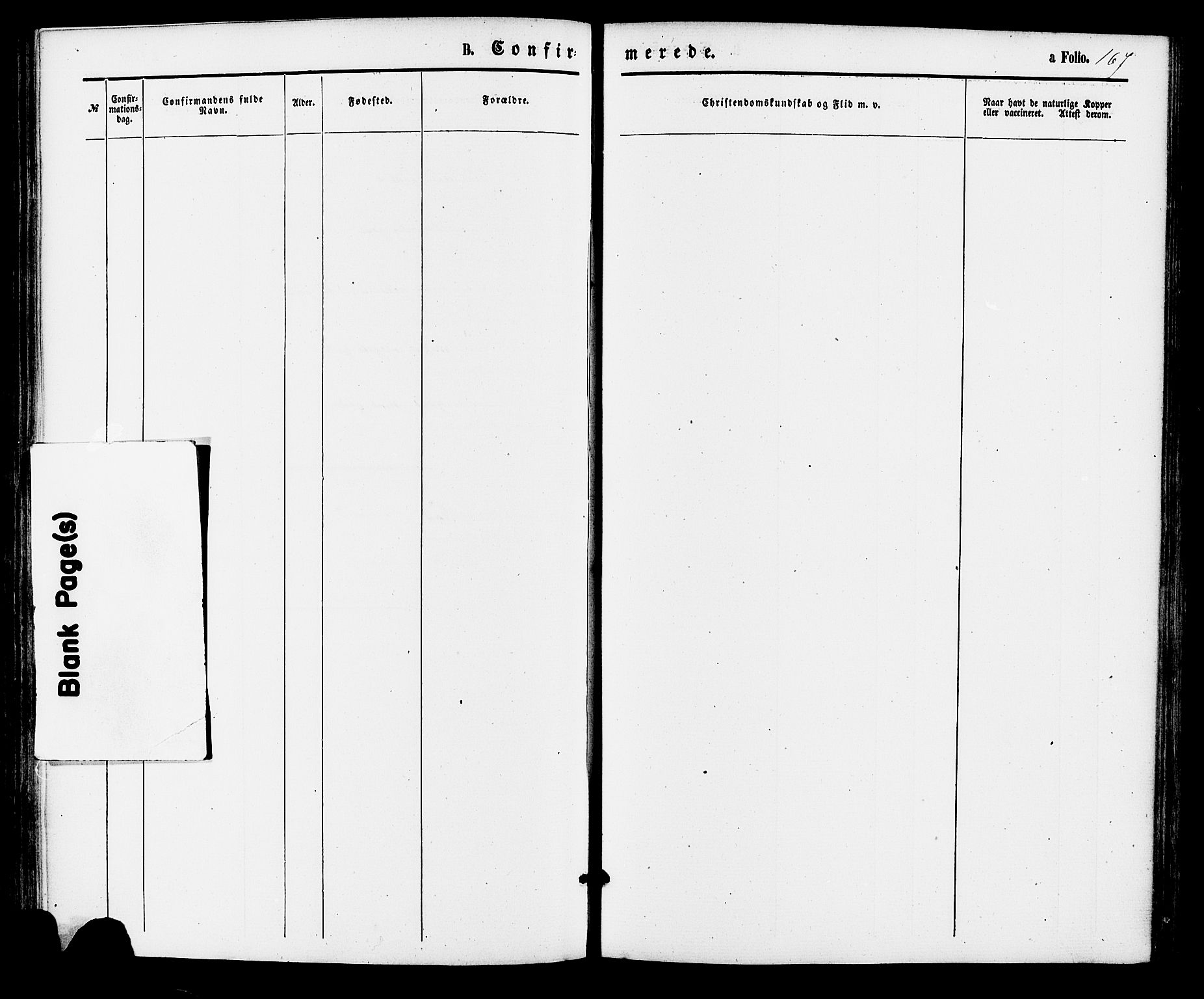 Bjelland sokneprestkontor, SAK/1111-0005/F/Fa/Faa/L0003: Ministerialbok nr. A 3, 1867-1887, s. 167