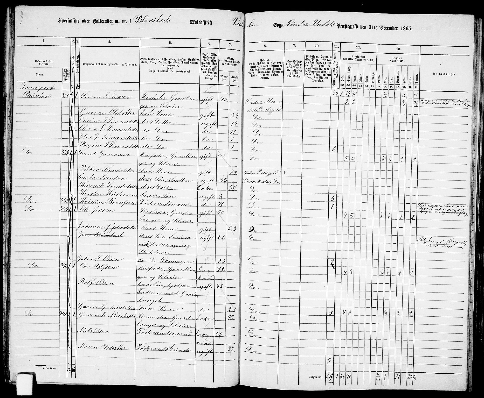 RA, Folketelling 1865 for 1029P Sør-Audnedal prestegjeld, 1865, s. 57