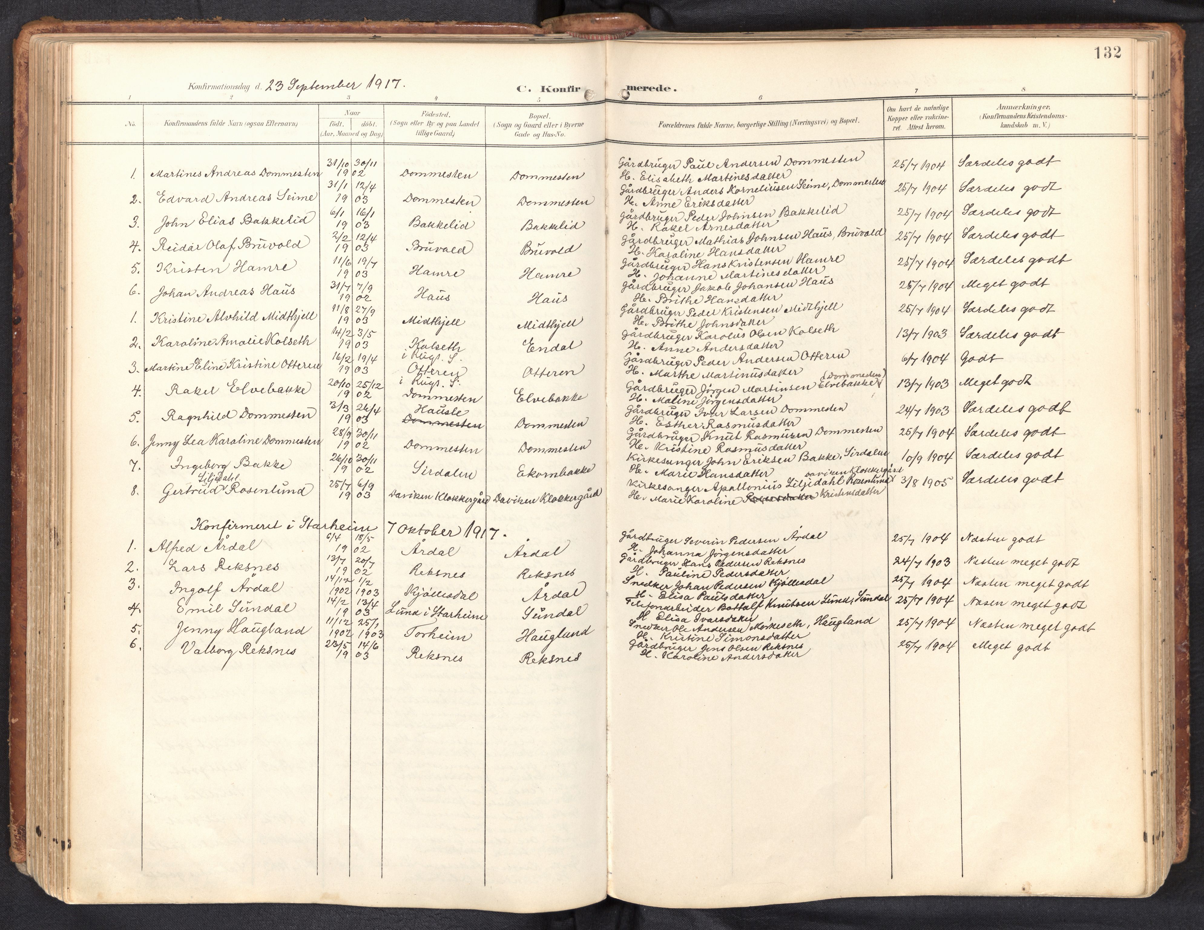 Davik sokneprestembete, AV/SAB-A-79701/H/Haa/Haab/L0002: Ministerialbok nr. B 2, 1901-1934, s. 132