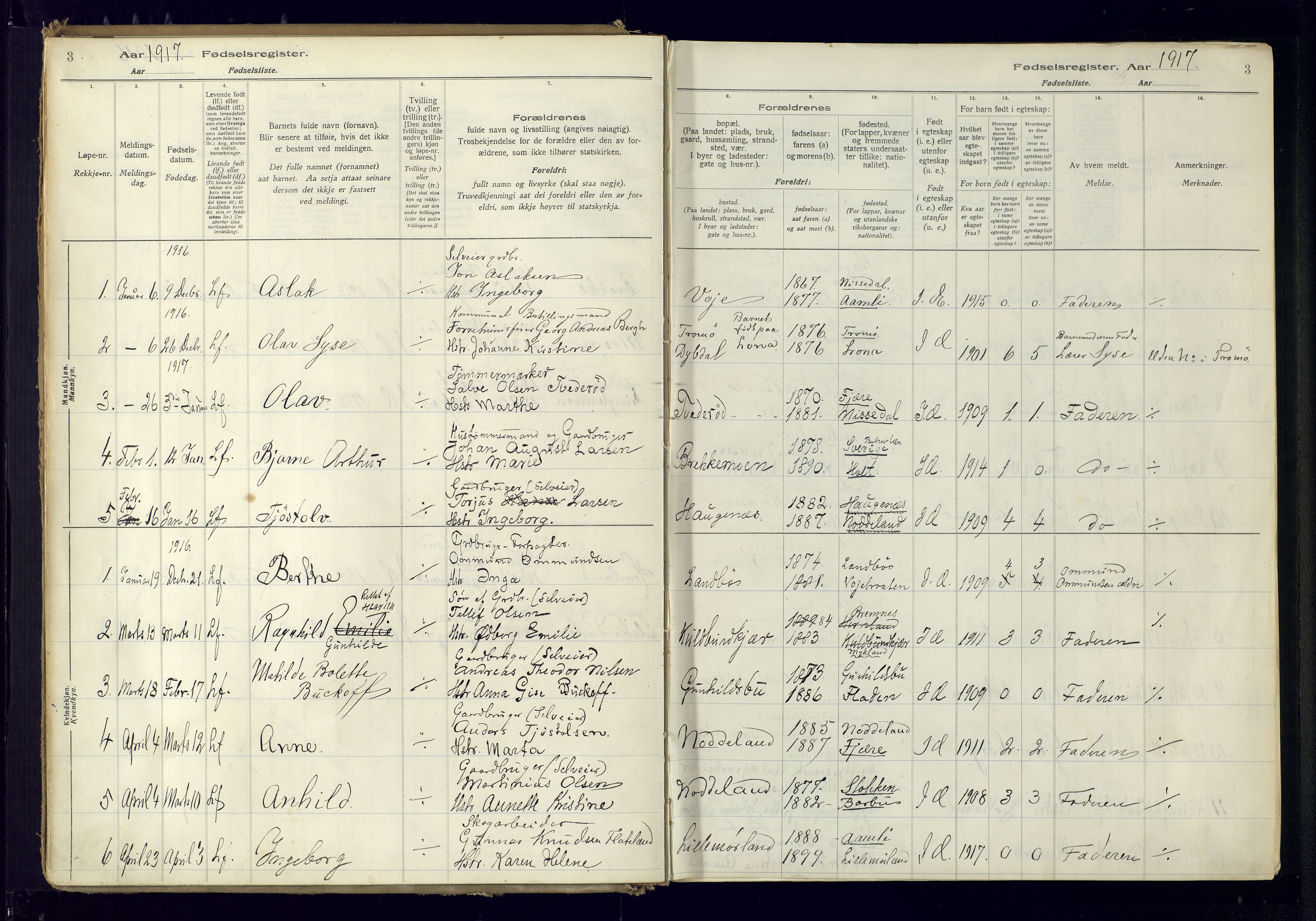 Austre Moland sokneprestkontor, AV/SAK-1111-0001/J/Ja/L0001: Fødselsregister nr. A-VI-25, 1916-1975, s. 3