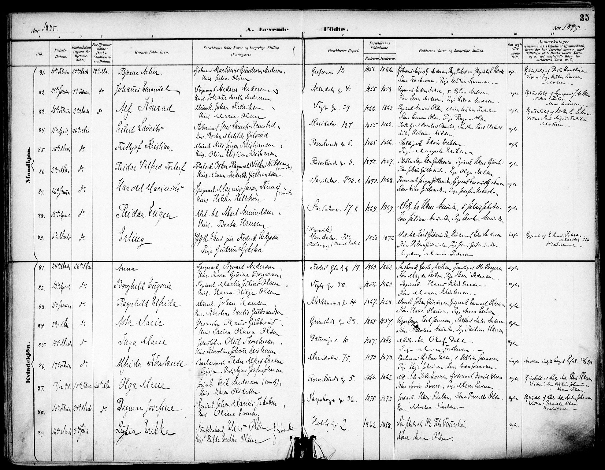 Sagene prestekontor Kirkebøker, AV/SAO-A-10796/F/L0004: Ministerialbok nr. 4, 1894-1904, s. 35
