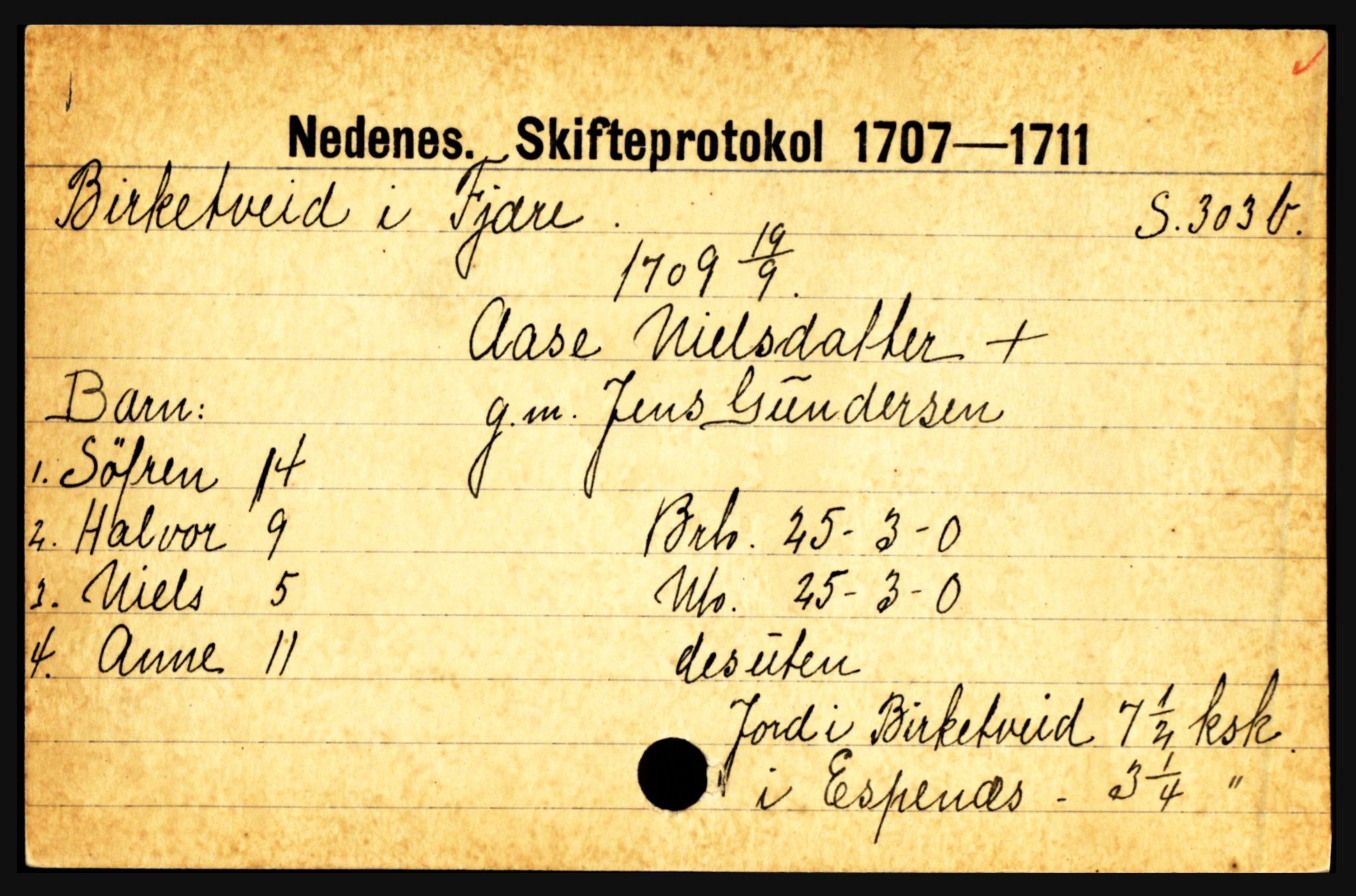 Nedenes sorenskriveri før 1824, AV/SAK-1221-0007/H, s. 2657