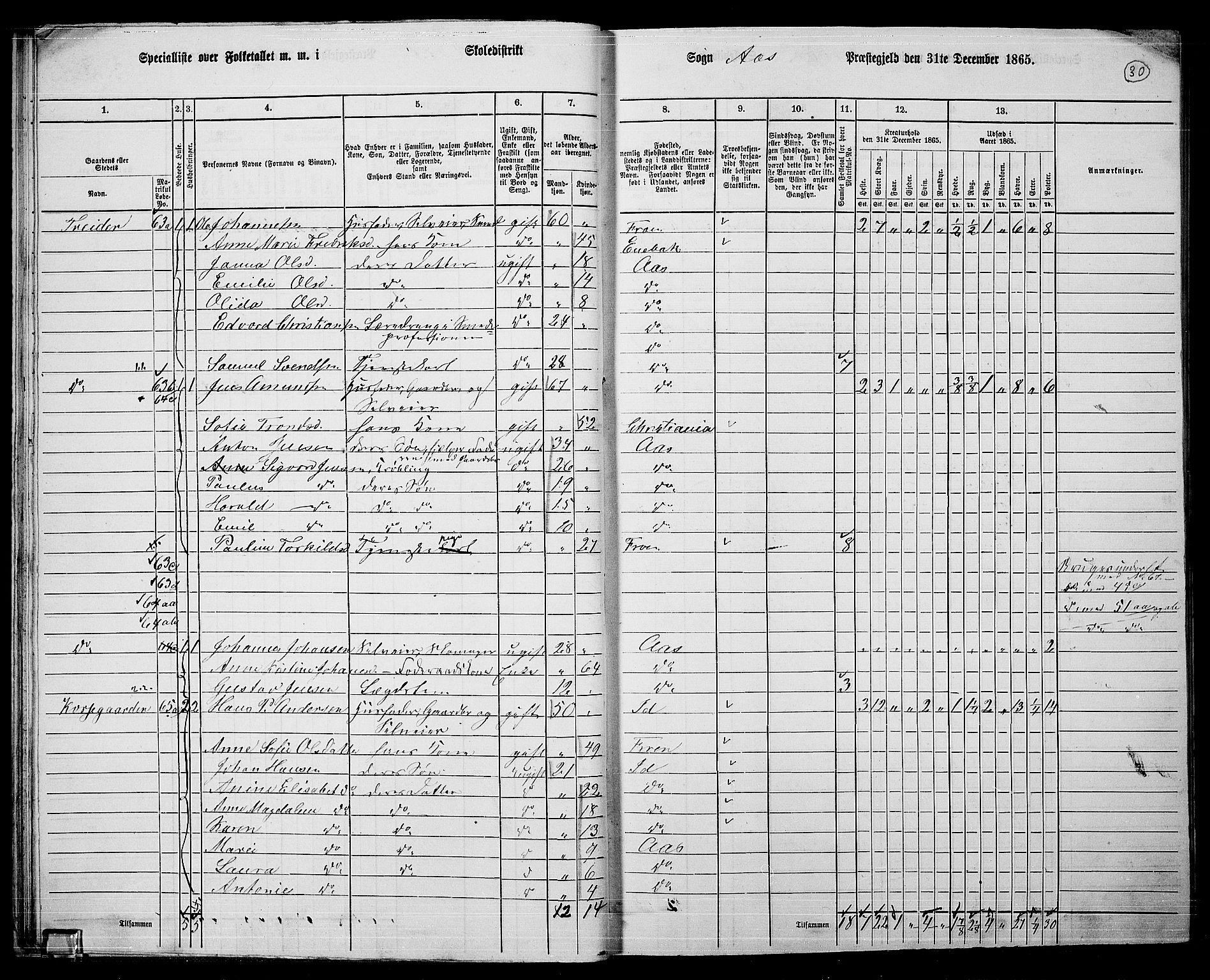 RA, Folketelling 1865 for 0214P Ås prestegjeld, 1865, s. 27