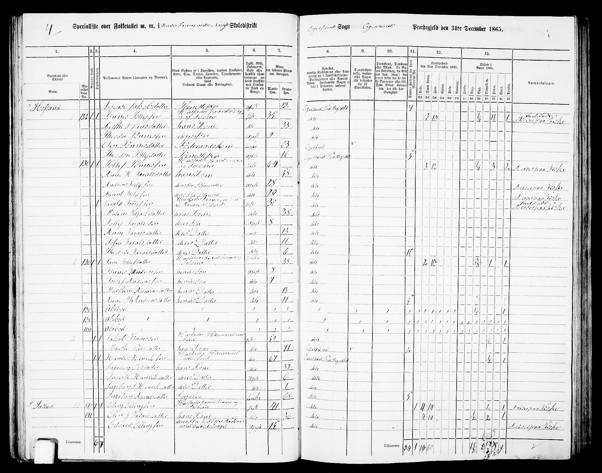 RA, Folketelling 1865 for 1116L Eigersund prestegjeld, Eigersund landsokn og Ogna sokn, 1865, s. 43