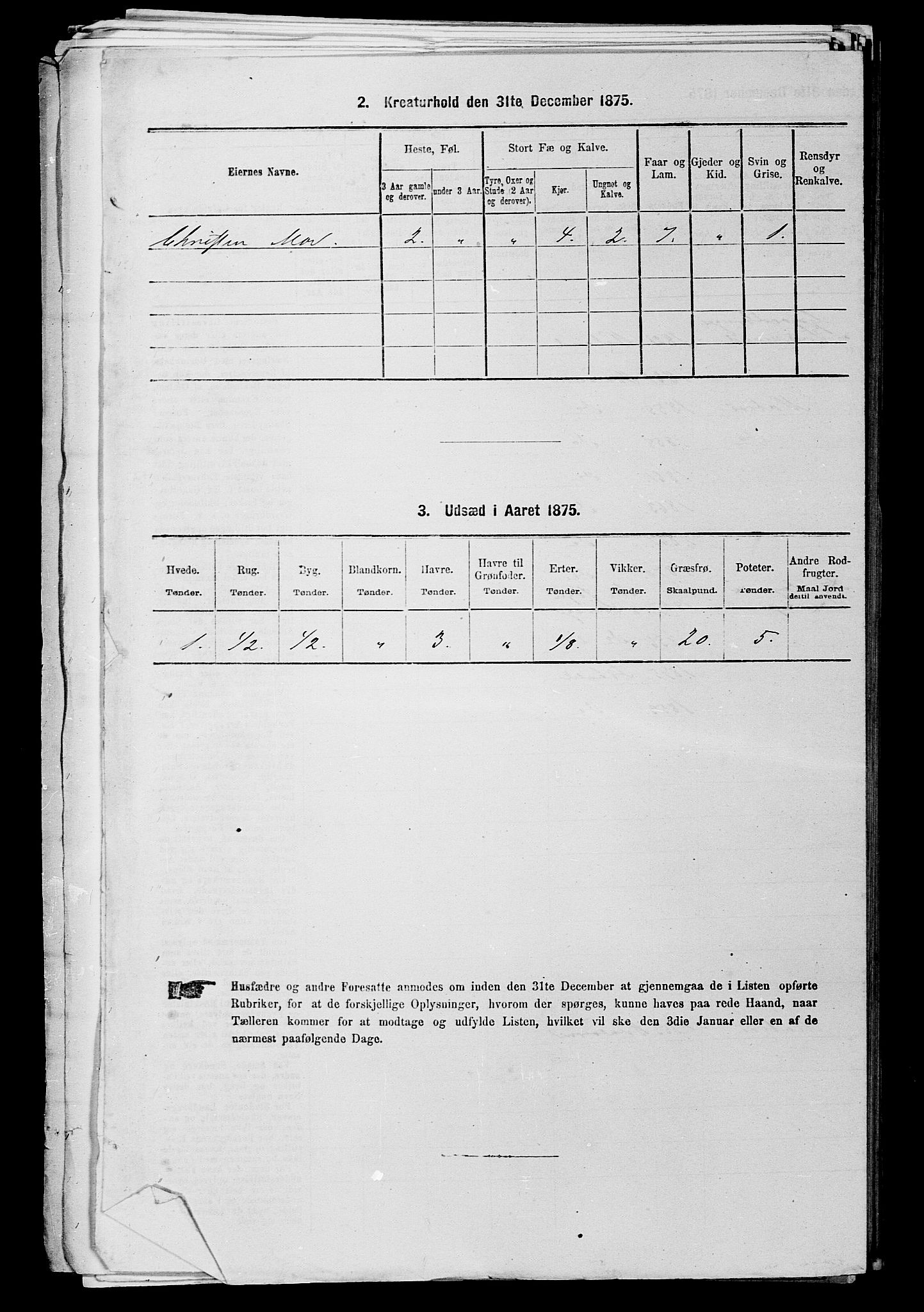 RA, Folketelling 1875 for 0111P Hvaler prestegjeld, 1875, s. 252