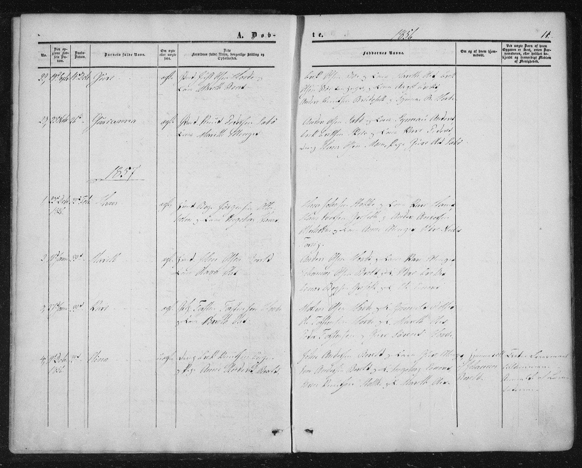 Ministerialprotokoller, klokkerbøker og fødselsregistre - Møre og Romsdal, AV/SAT-A-1454/543/L0562: Ministerialbok nr. 543A02, 1854-1884, s. 11