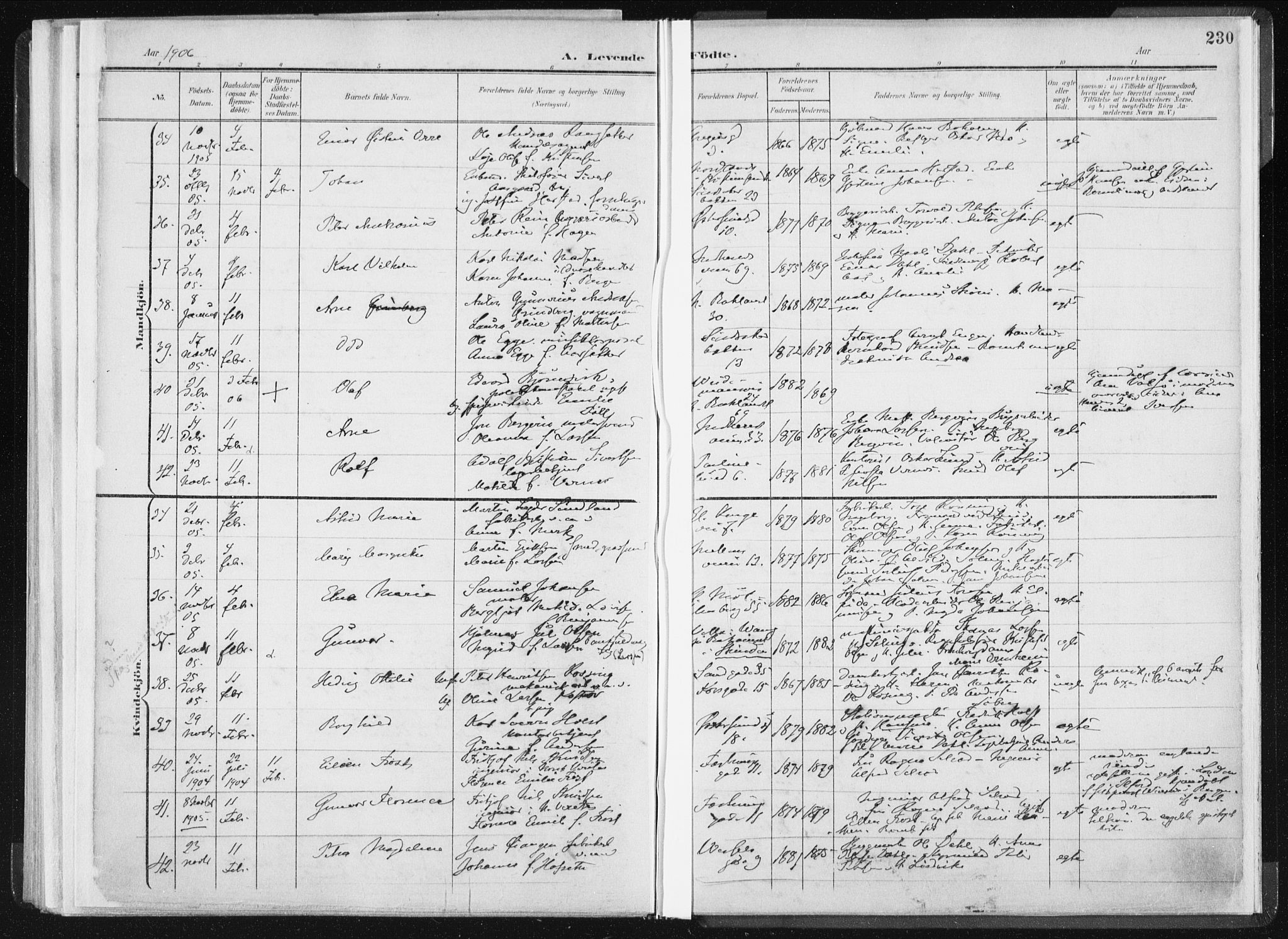 Ministerialprotokoller, klokkerbøker og fødselsregistre - Sør-Trøndelag, SAT/A-1456/604/L0199: Ministerialbok nr. 604A20I, 1901-1906, s. 230