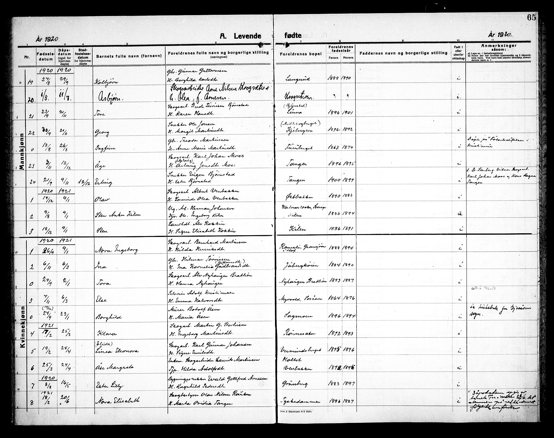 Åsnes prestekontor, SAH/PREST-042/H/Ha/Haa/L0000E: Ministerialbok nr. 0C, 1890-1929, s. 65