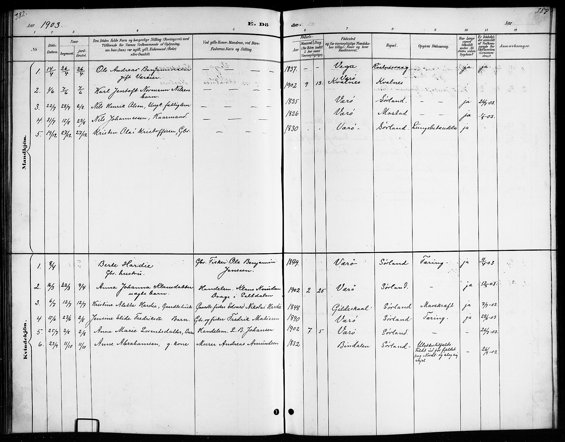 Ministerialprotokoller, klokkerbøker og fødselsregistre - Nordland, AV/SAT-A-1459/807/L0123: Klokkerbok nr. 807C01, 1884-1910, s. 382-383