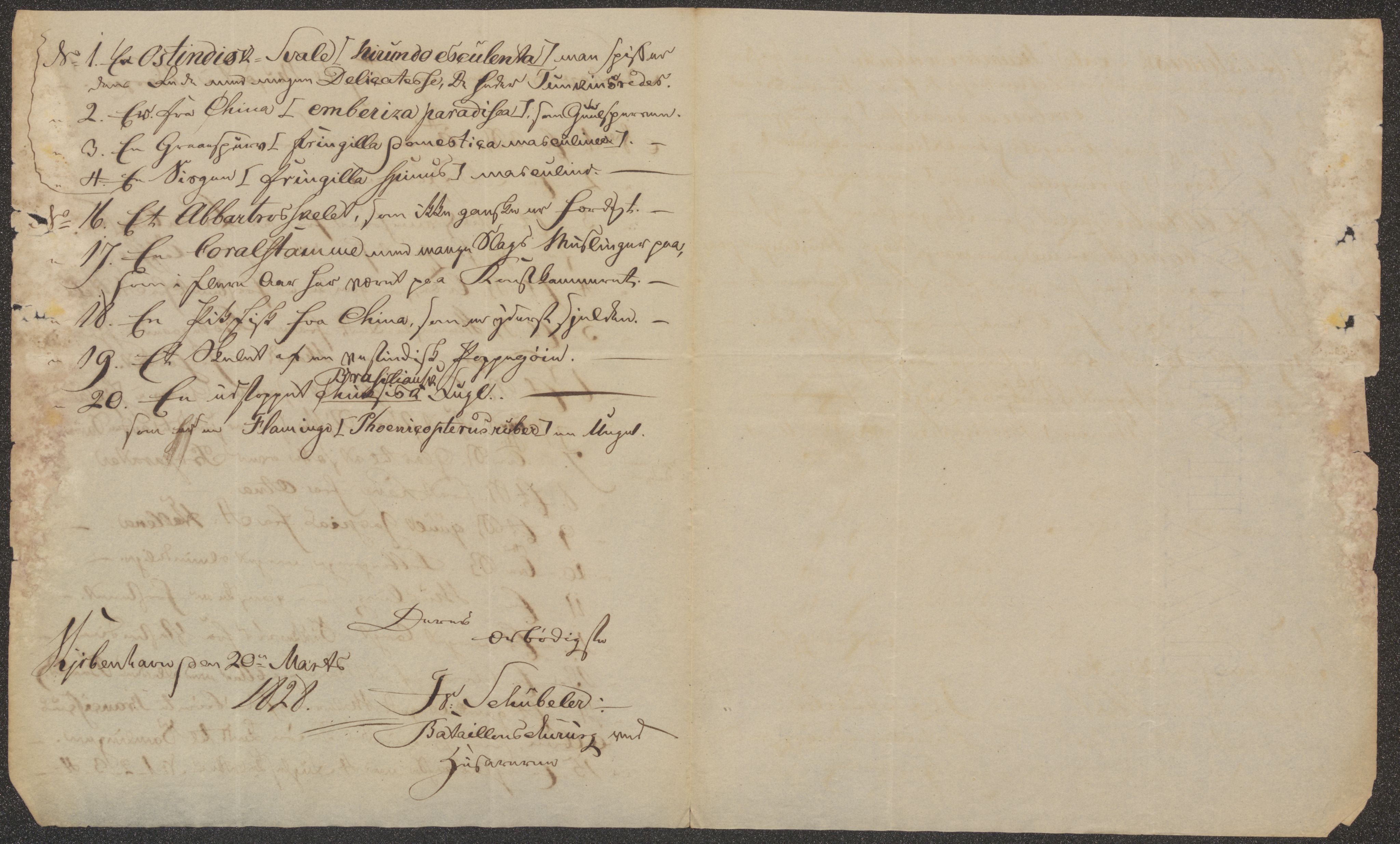 Bergens Museum, UMB/A007/D/Da/L0003/0003: Brevsamling 1828 / Brevsamling 1828, 1828