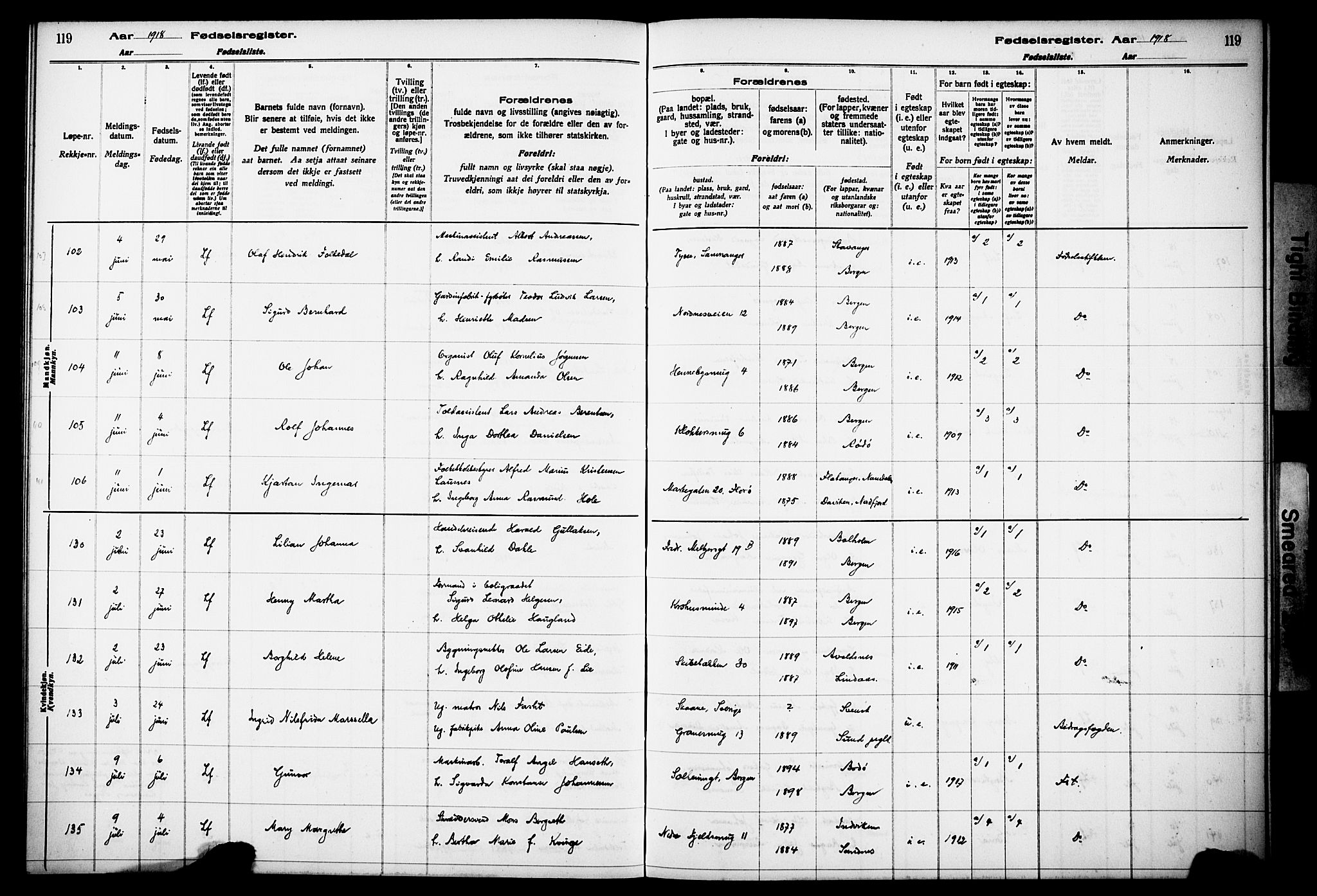 Kvinneklinikken, SAB/A-76301/F/L0A01: Fødselsregister nr. A 1, 1916-1920, s. 119