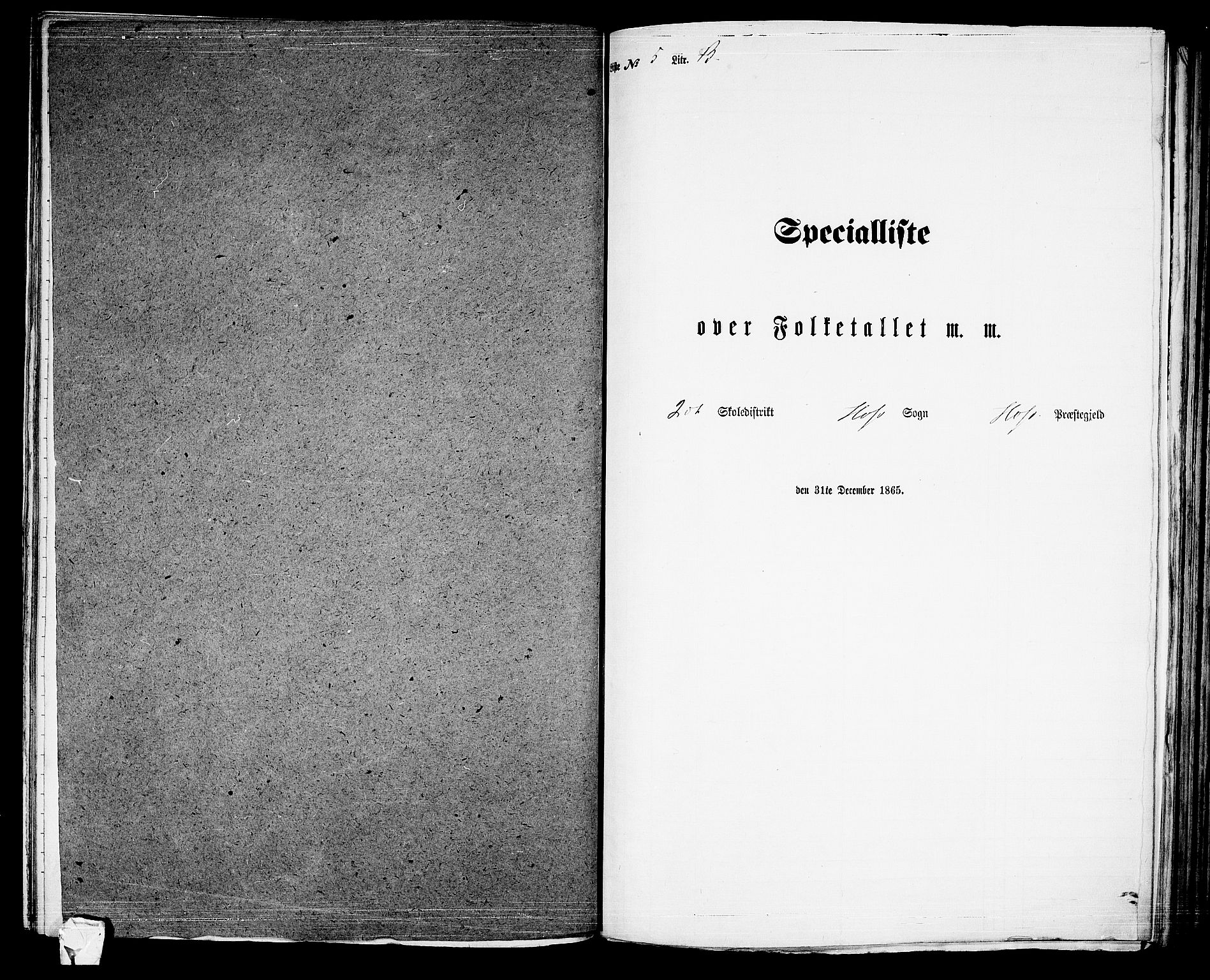 RA, Folketelling 1865 for 0714P Hof prestegjeld, 1865, s. 111