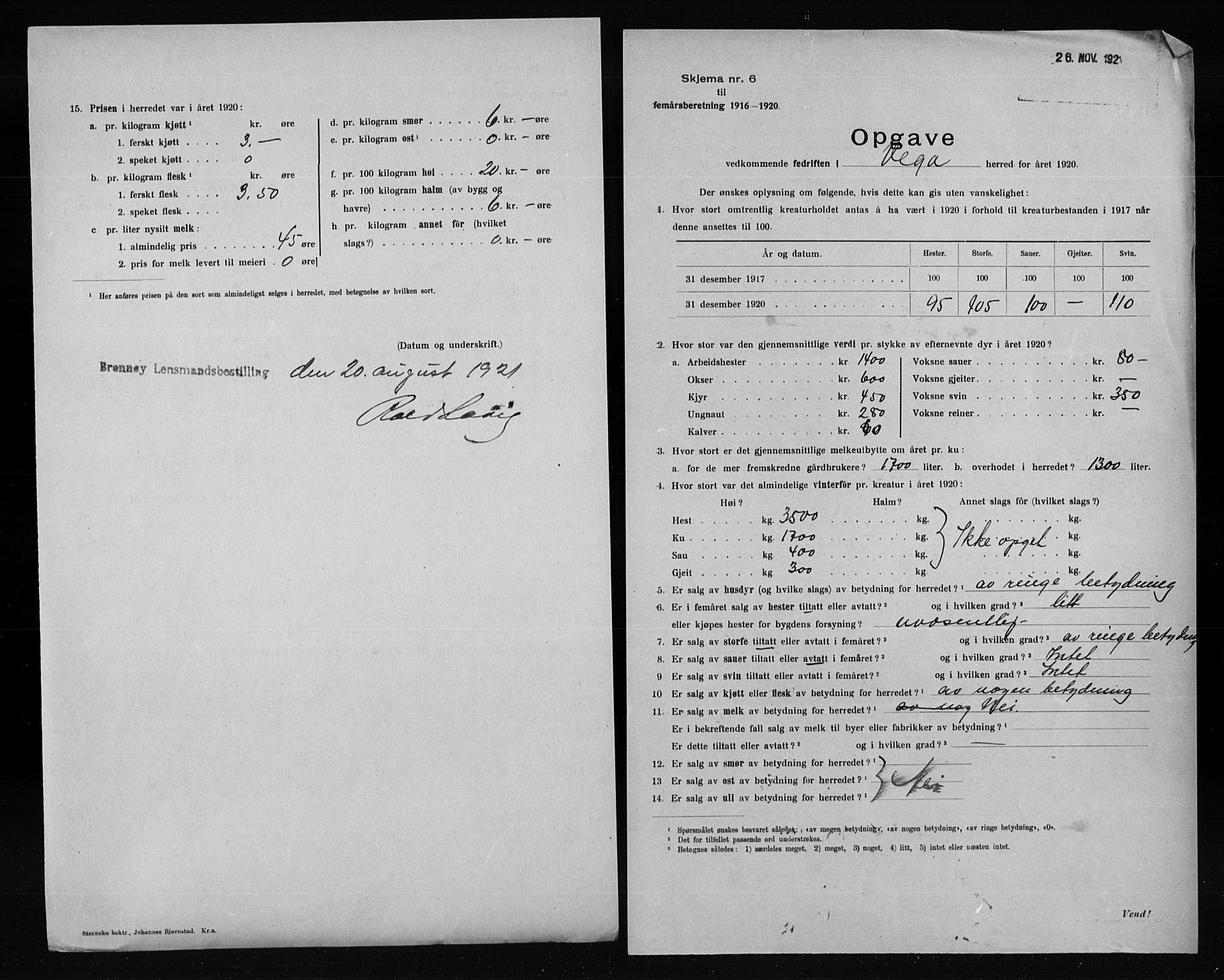 Statistisk sentralbyrå, Næringsøkonomiske emner, Generelt - Amtmennenes femårsberetninger, AV/RA-S-2233/F/Fa/L0128: --, 1916-1920, s. 5