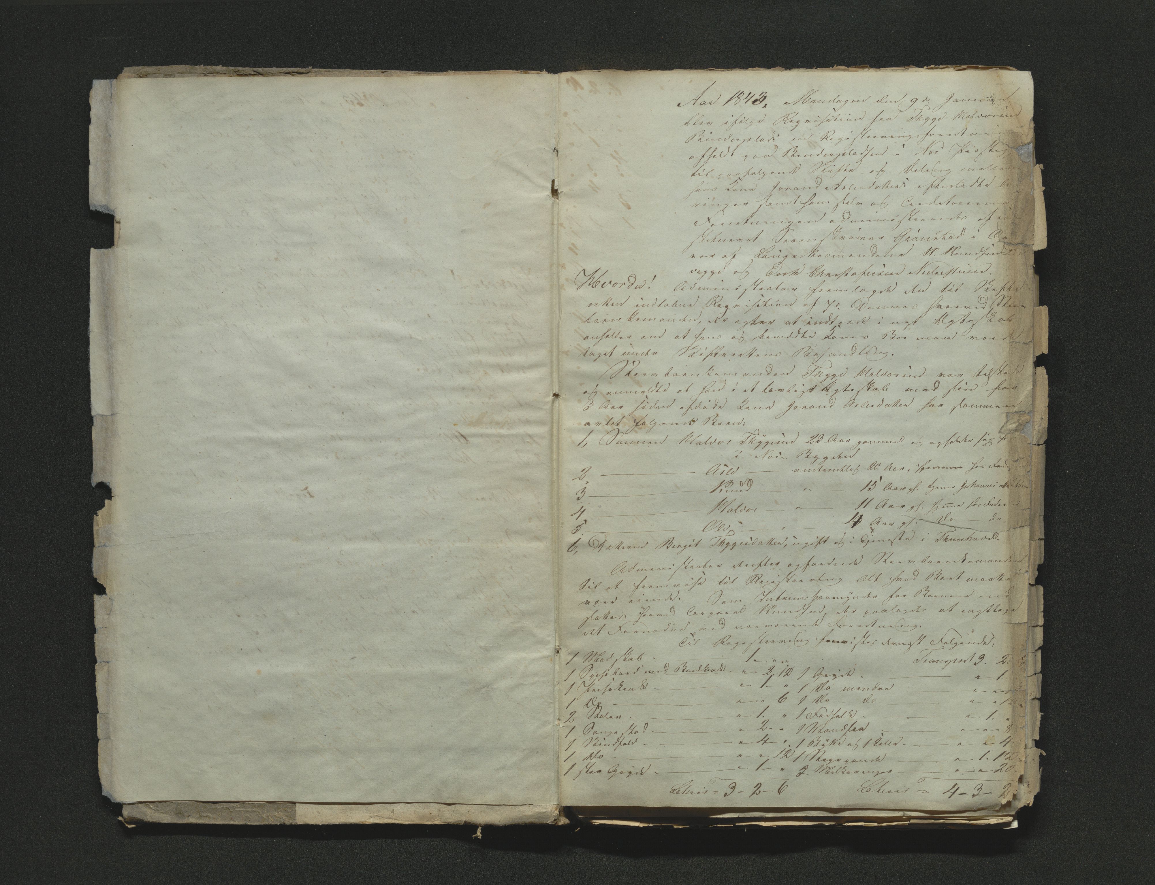 Hallingdal sorenskriveri, AV/SAKO-A-121/H/Hb/Hbb/Hbba/L0016: Skifteregistreringsprotokoll, Sorenskriveriet, 1843