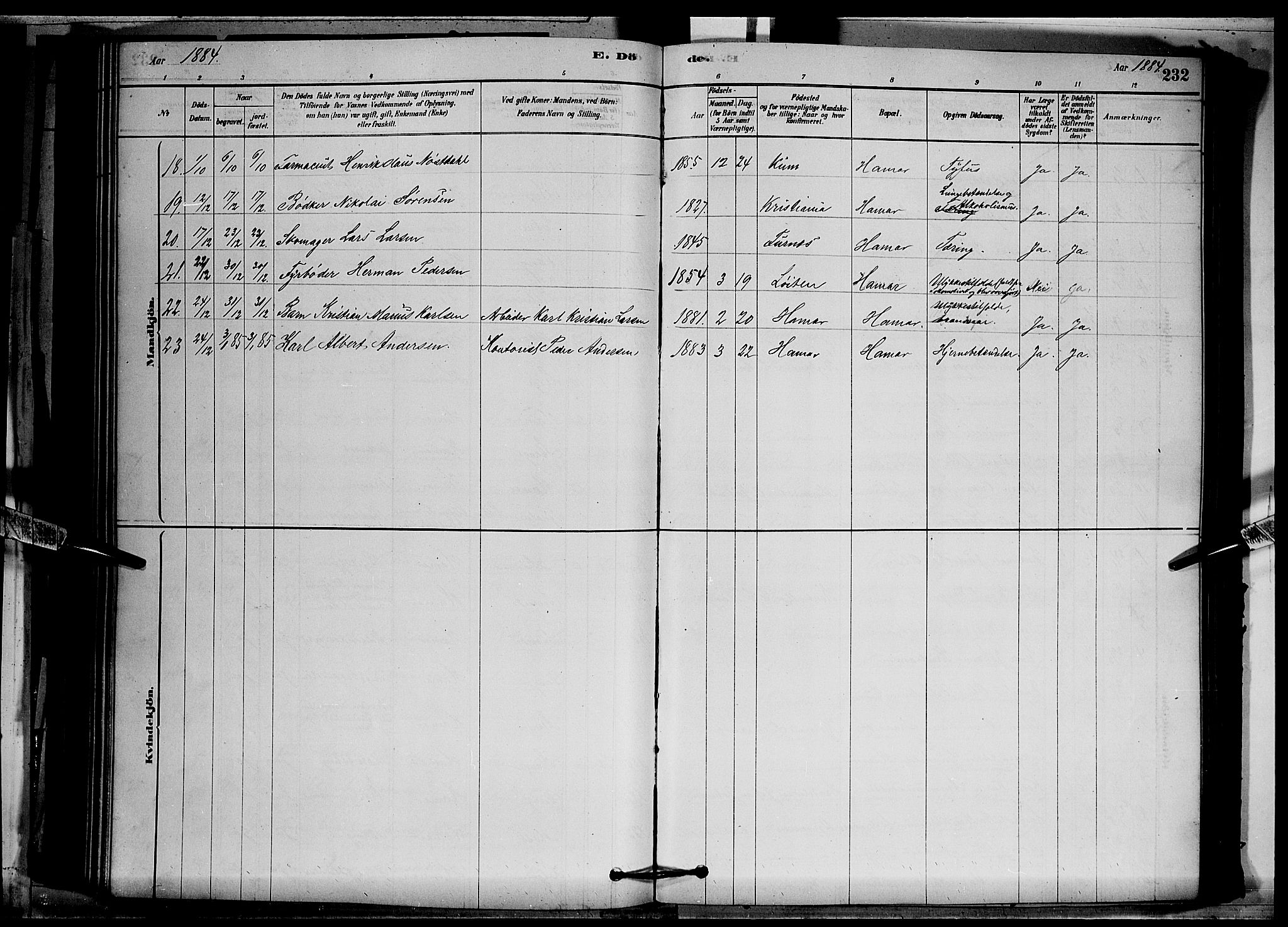 Vang prestekontor, Hedmark, AV/SAH-PREST-008/H/Ha/Hab/L0012: Klokkerbok nr. 12, 1878-1889, s. 232