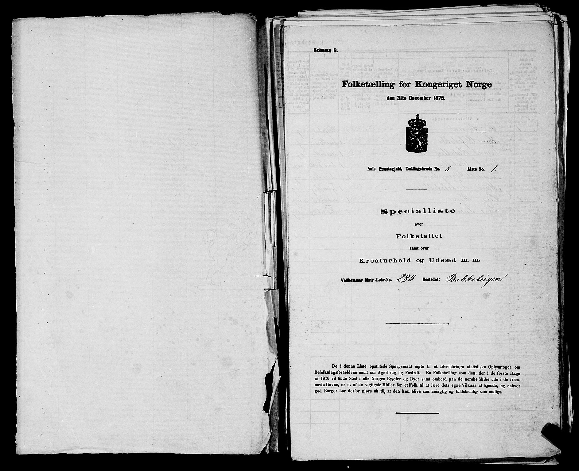 SAKO, Folketelling 1875 for 0619P Ål prestegjeld, 1875, s. 980