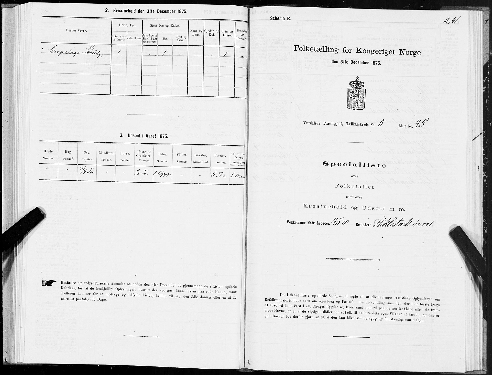 SAT, Folketelling 1875 for 1721P Verdal prestegjeld, 1875, s. 3231