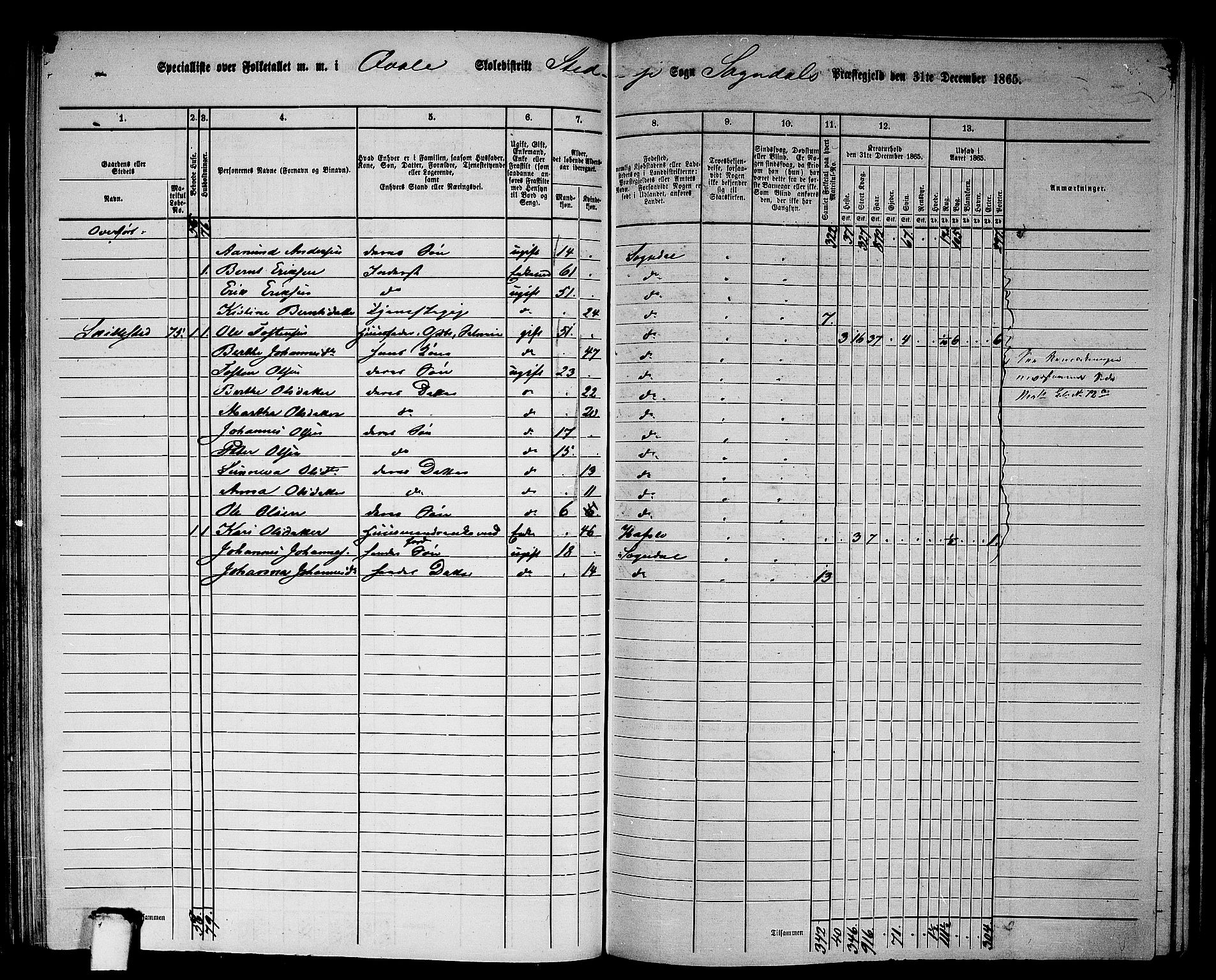 RA, Folketelling 1865 for 1420P Sogndal prestegjeld, 1865, s. 83