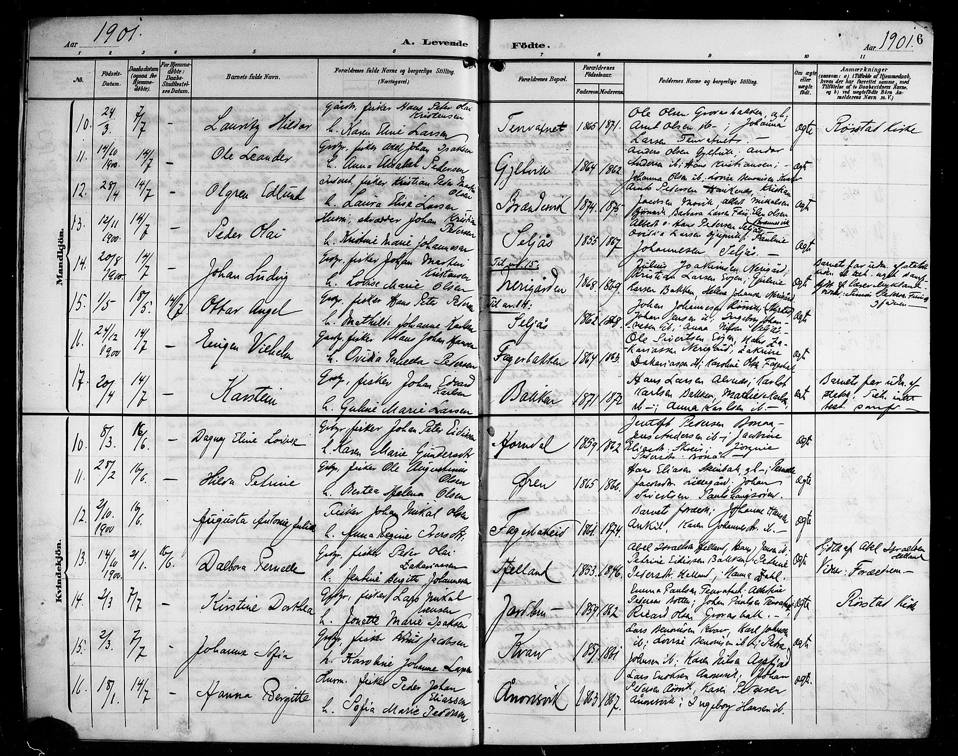 Ministerialprotokoller, klokkerbøker og fødselsregistre - Nordland, AV/SAT-A-1459/854/L0786: Klokkerbok nr. 854C02, 1901-1912, s. 6