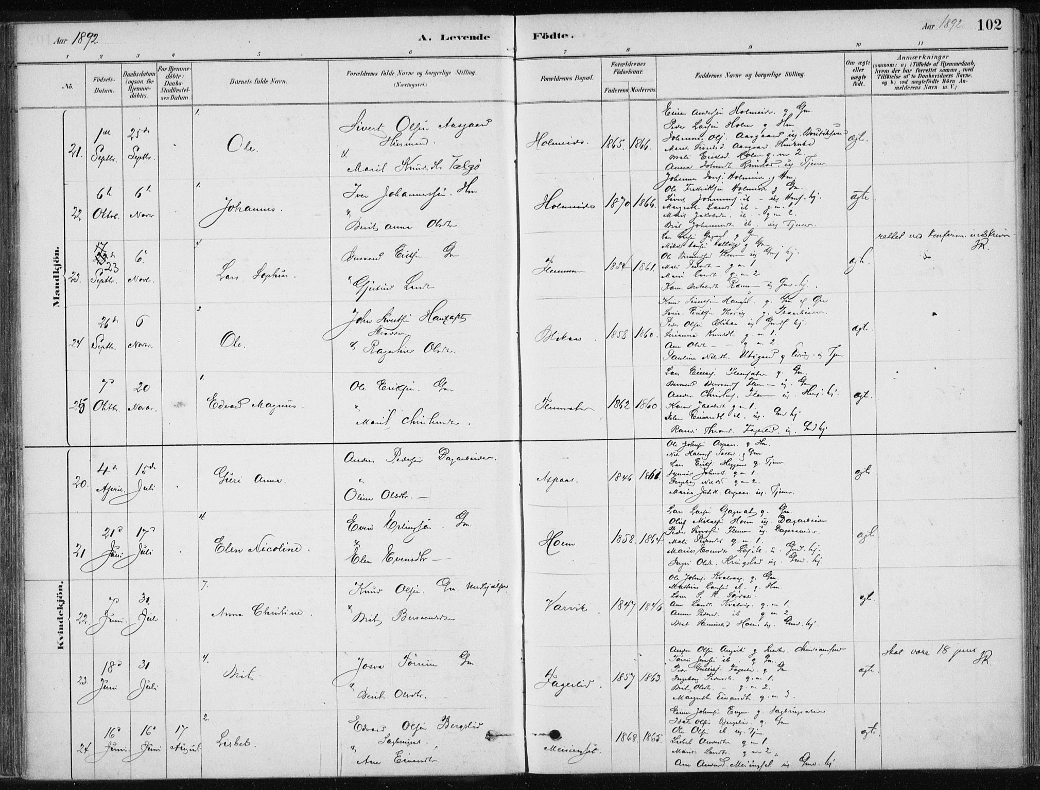 Ministerialprotokoller, klokkerbøker og fødselsregistre - Møre og Romsdal, AV/SAT-A-1454/586/L0987: Ministerialbok nr. 586A13, 1879-1892, s. 102