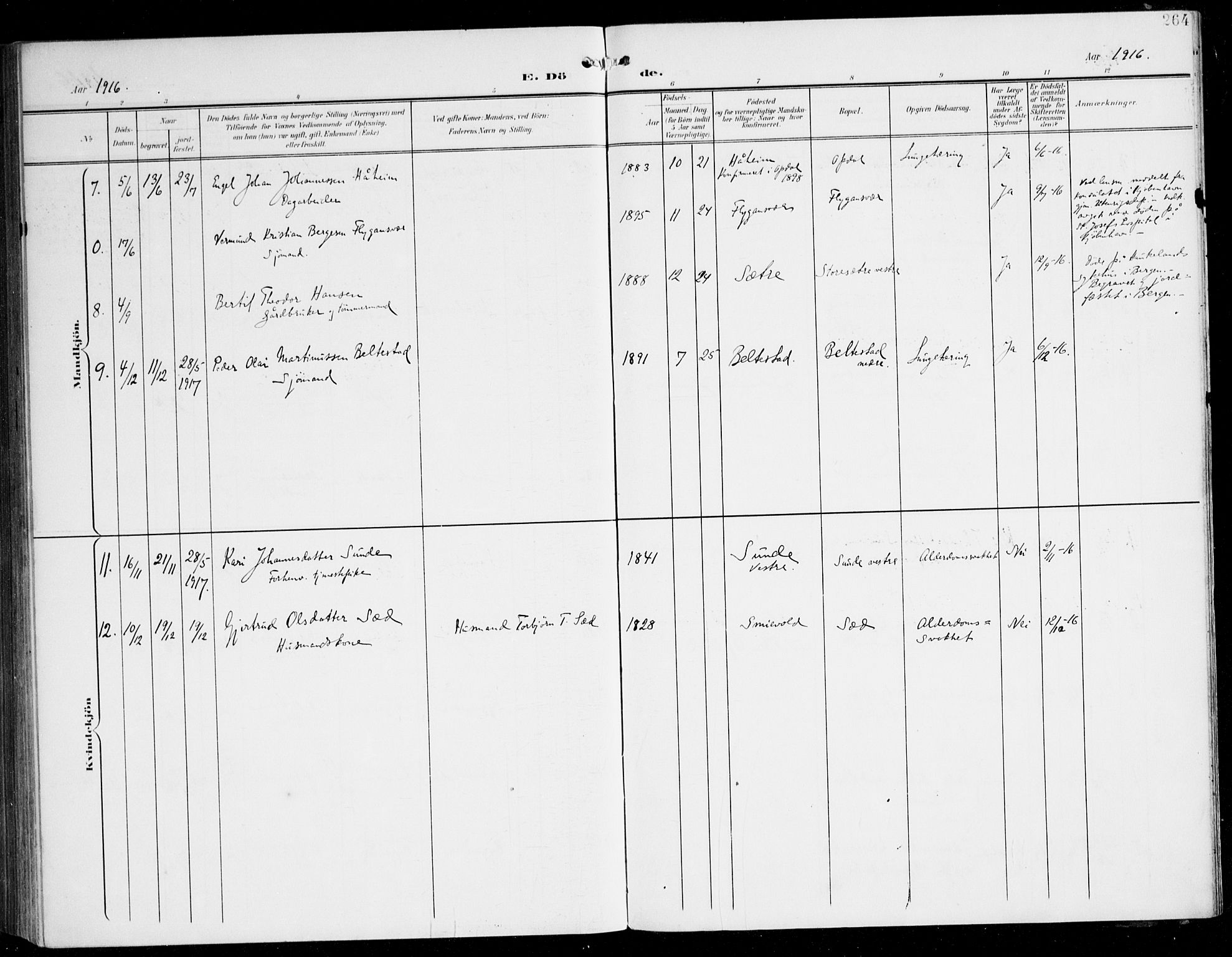 Tysnes sokneprestembete, AV/SAB-A-78601/H/Haa: Ministerialbok nr. D 2, 1905-1922, s. 264