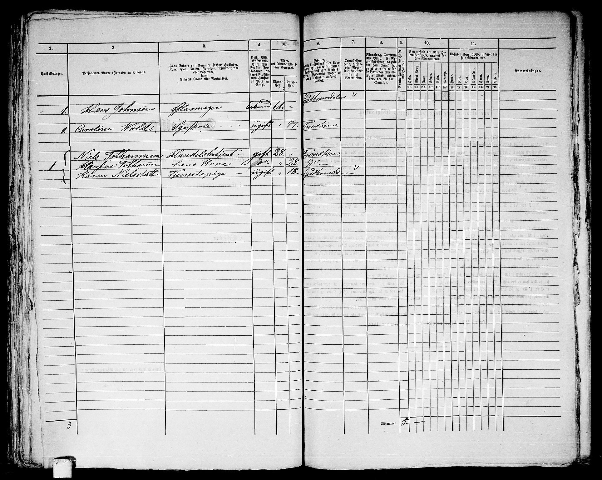 RA, Folketelling 1865 for 1601 Trondheim kjøpstad, 1865, s. 989