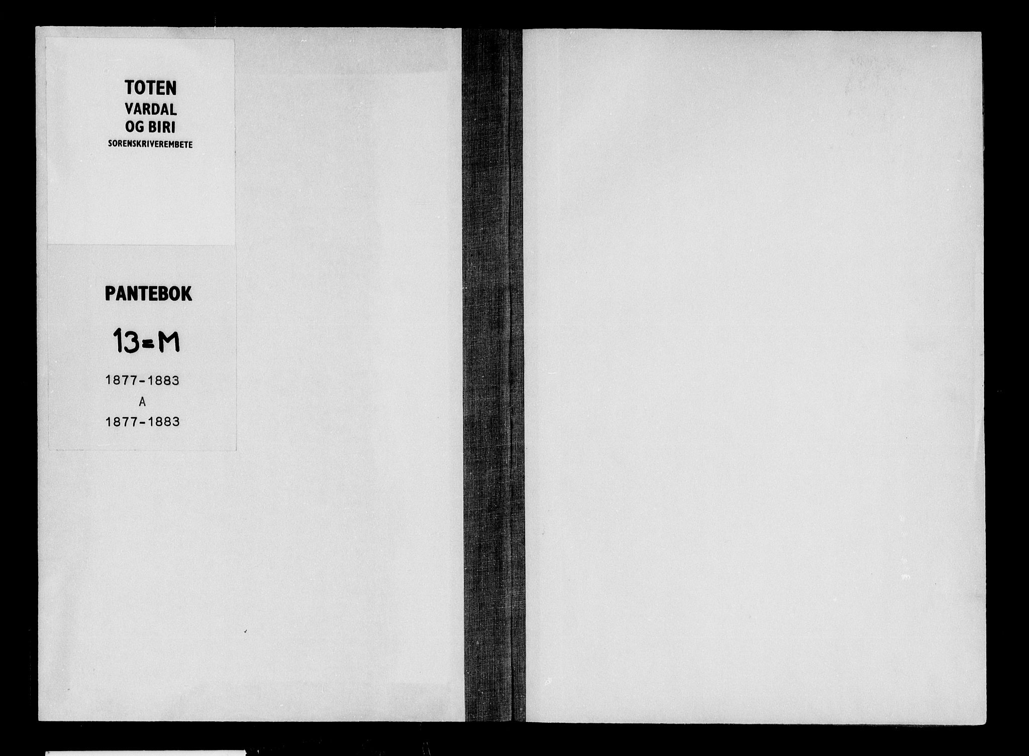 Toten tingrett, AV/SAH-TING-006/H/Hb/Hba/L0013a: Pantebok nr. 13a, 1877-1879