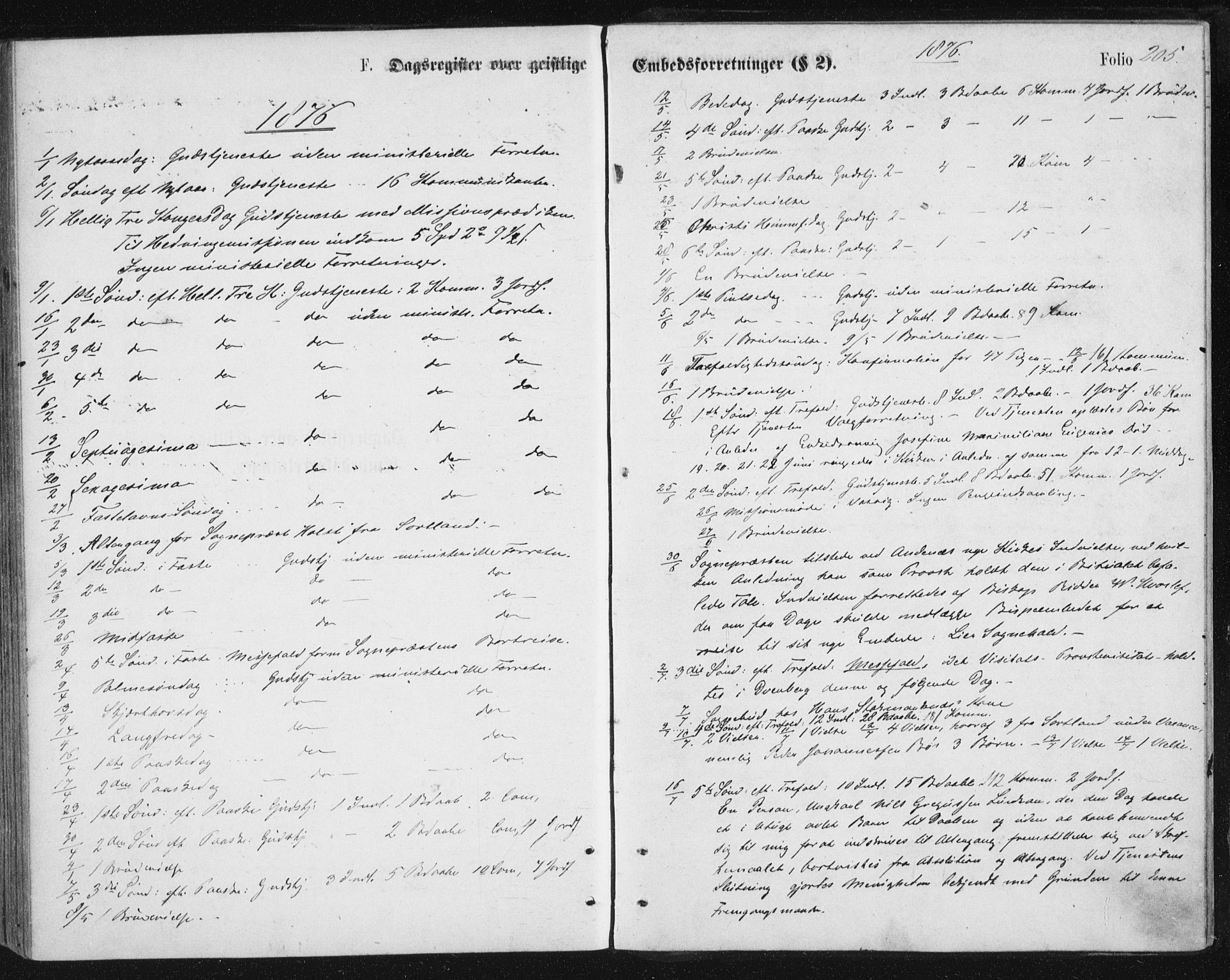Ministerialprotokoller, klokkerbøker og fødselsregistre - Nordland, SAT/A-1459/888/L1243: Ministerialbok nr. 888A09, 1876-1879, s. 205