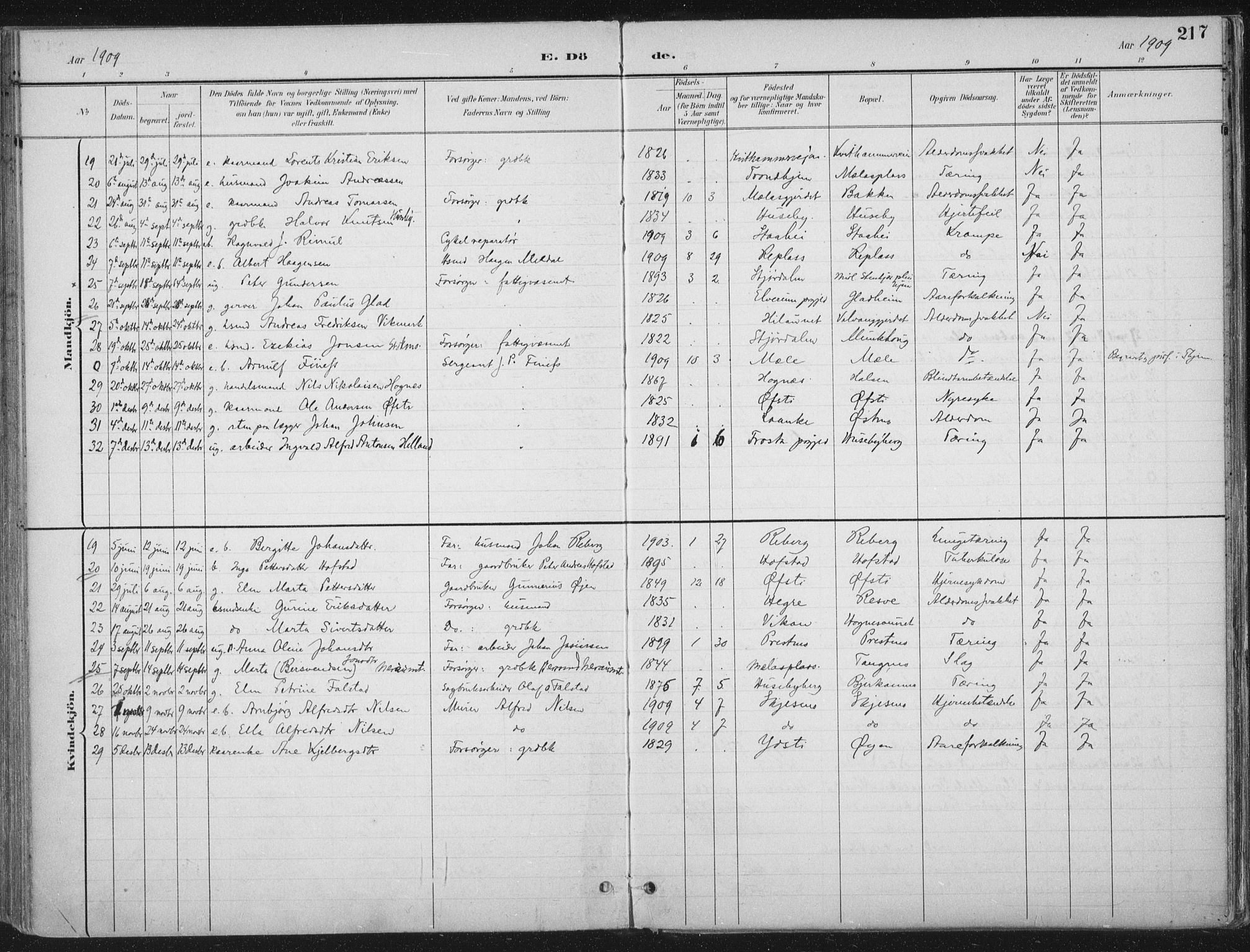 Ministerialprotokoller, klokkerbøker og fødselsregistre - Nord-Trøndelag, AV/SAT-A-1458/709/L0082: Ministerialbok nr. 709A22, 1896-1916, s. 217