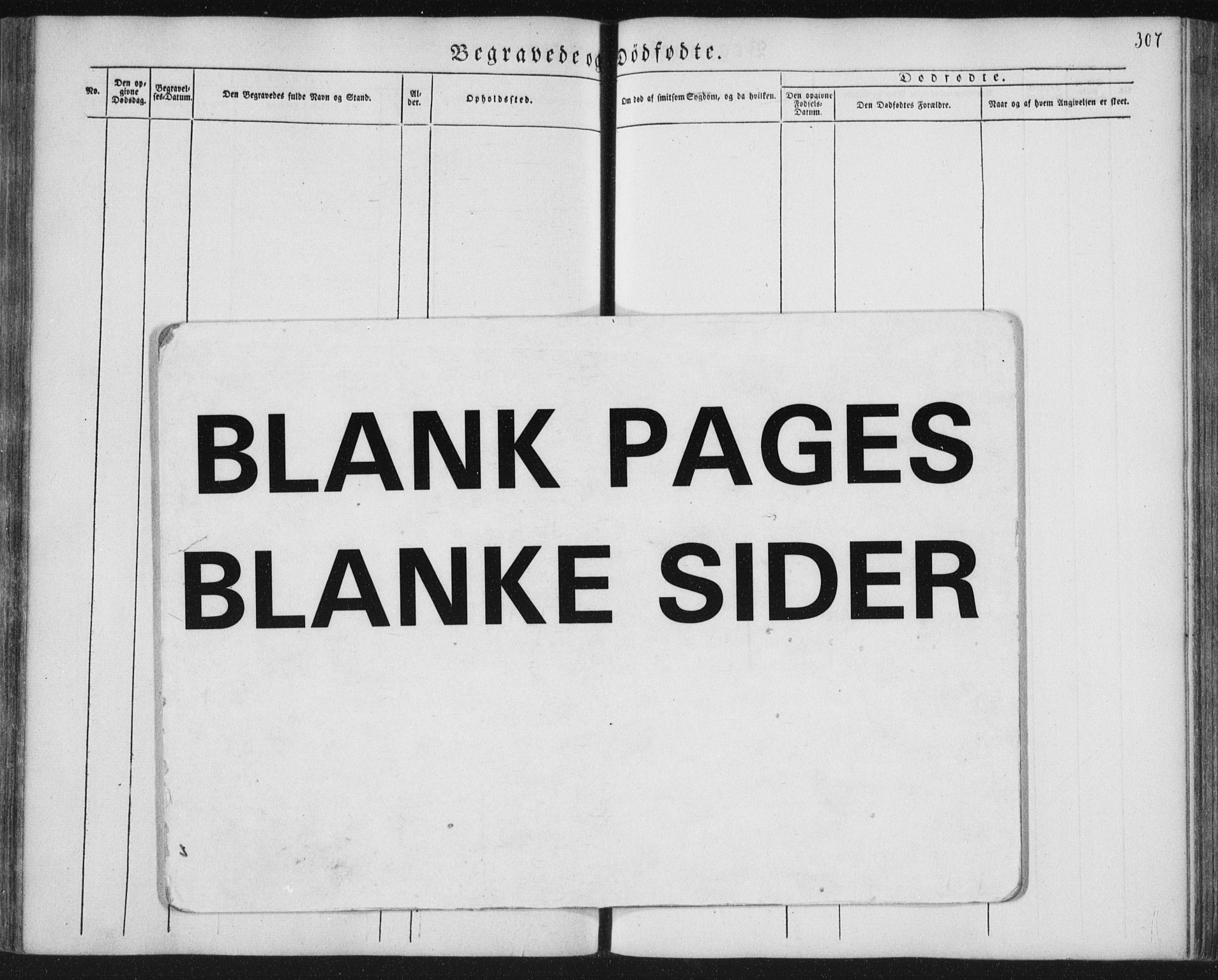 Ministerialprotokoller, klokkerbøker og fødselsregistre - Nordland, AV/SAT-A-1459/852/L0738: Ministerialbok nr. 852A08, 1849-1865, s. 307