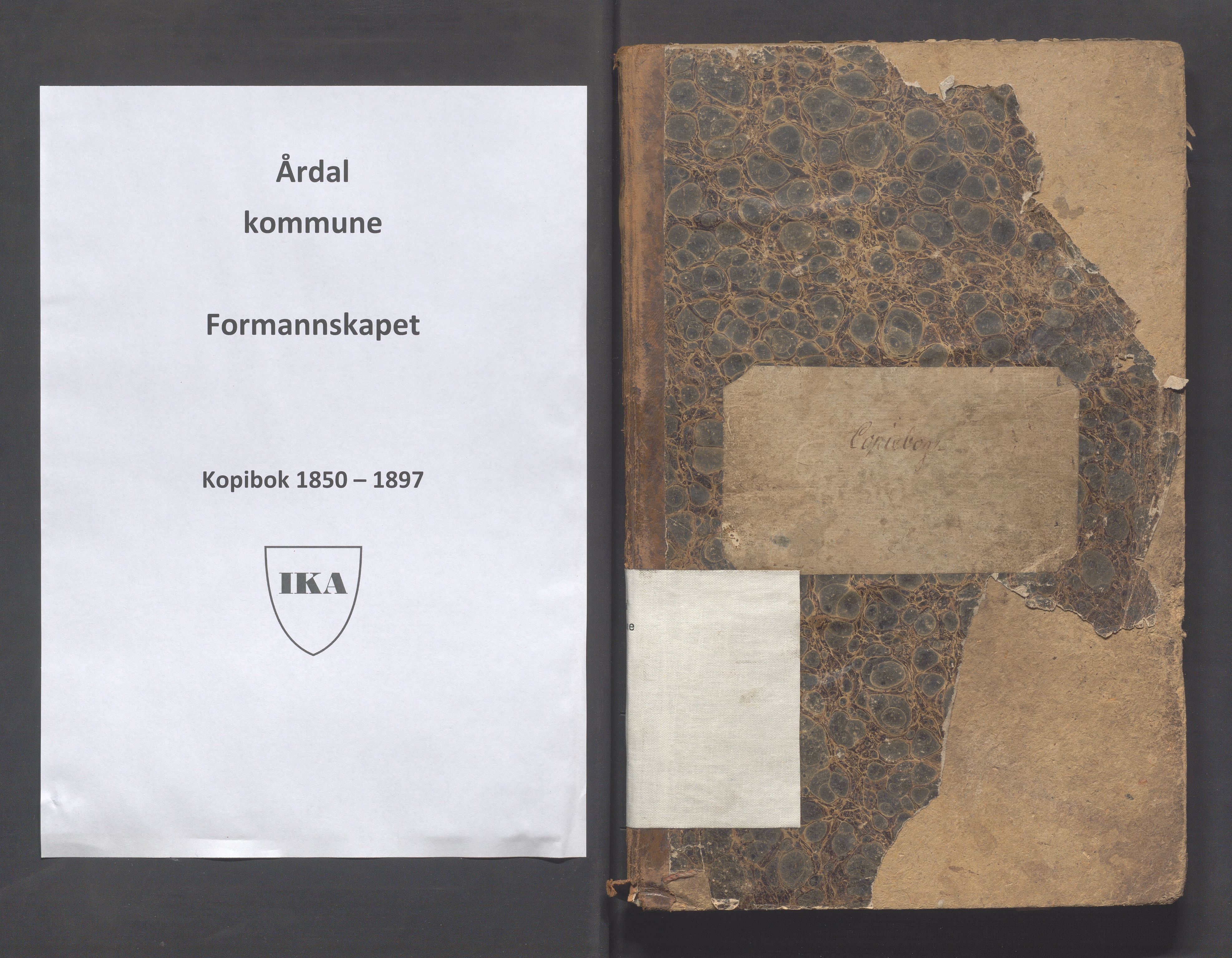 Årdal kommune - Formannskapet, IKAR/K-101953/B/L0001: Kopibok, 1850-1897