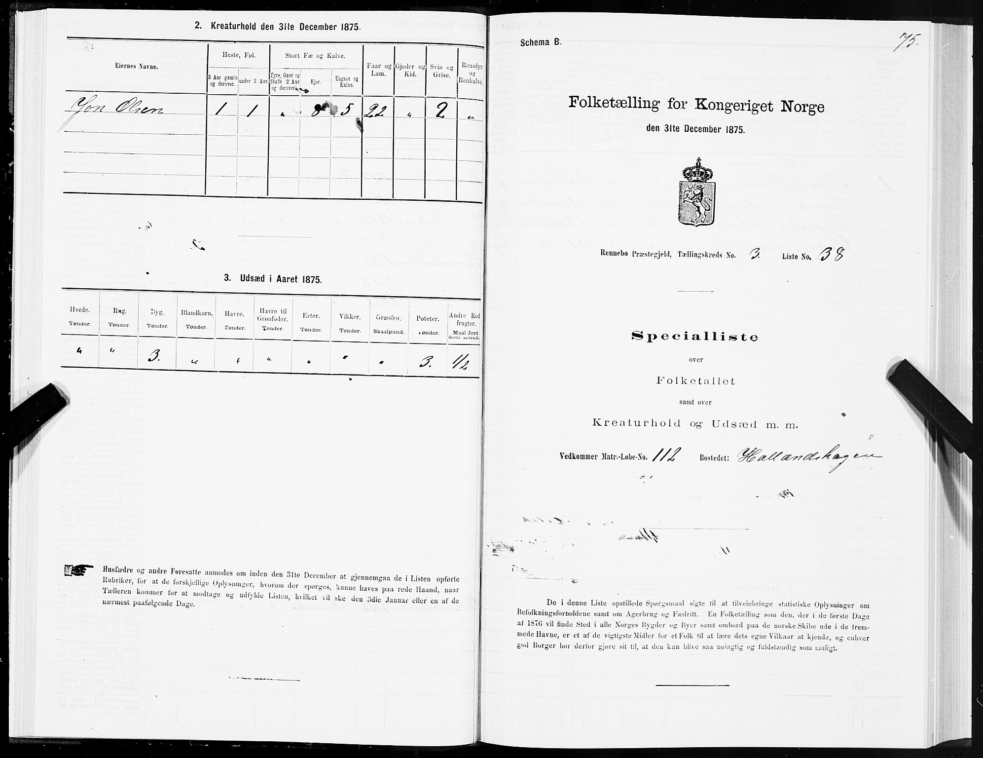 SAT, Folketelling 1875 for 1635P Rennebu prestegjeld, 1875, s. 2075