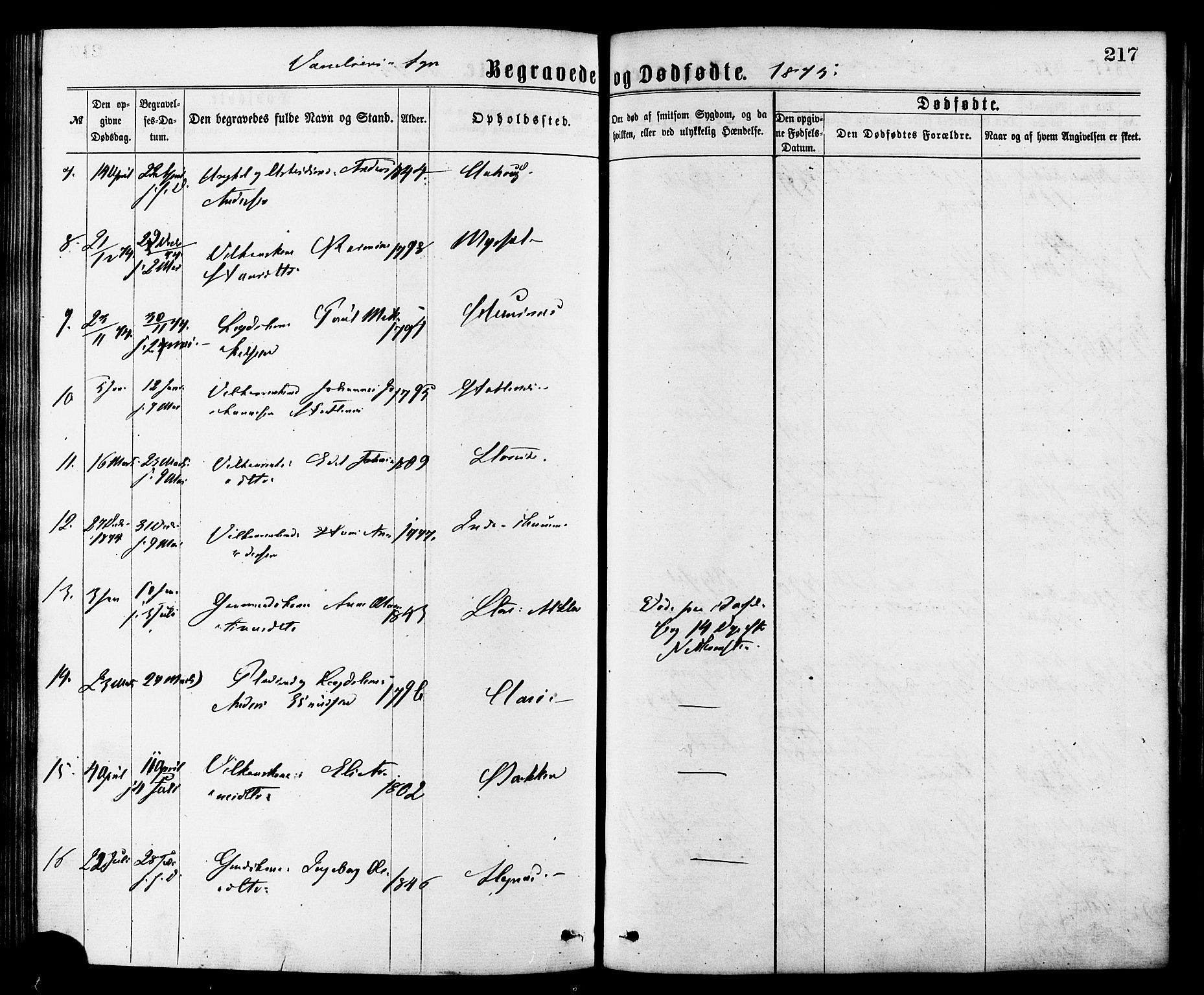 Ministerialprotokoller, klokkerbøker og fødselsregistre - Møre og Romsdal, AV/SAT-A-1454/501/L0007: Ministerialbok nr. 501A07, 1868-1884, s. 217