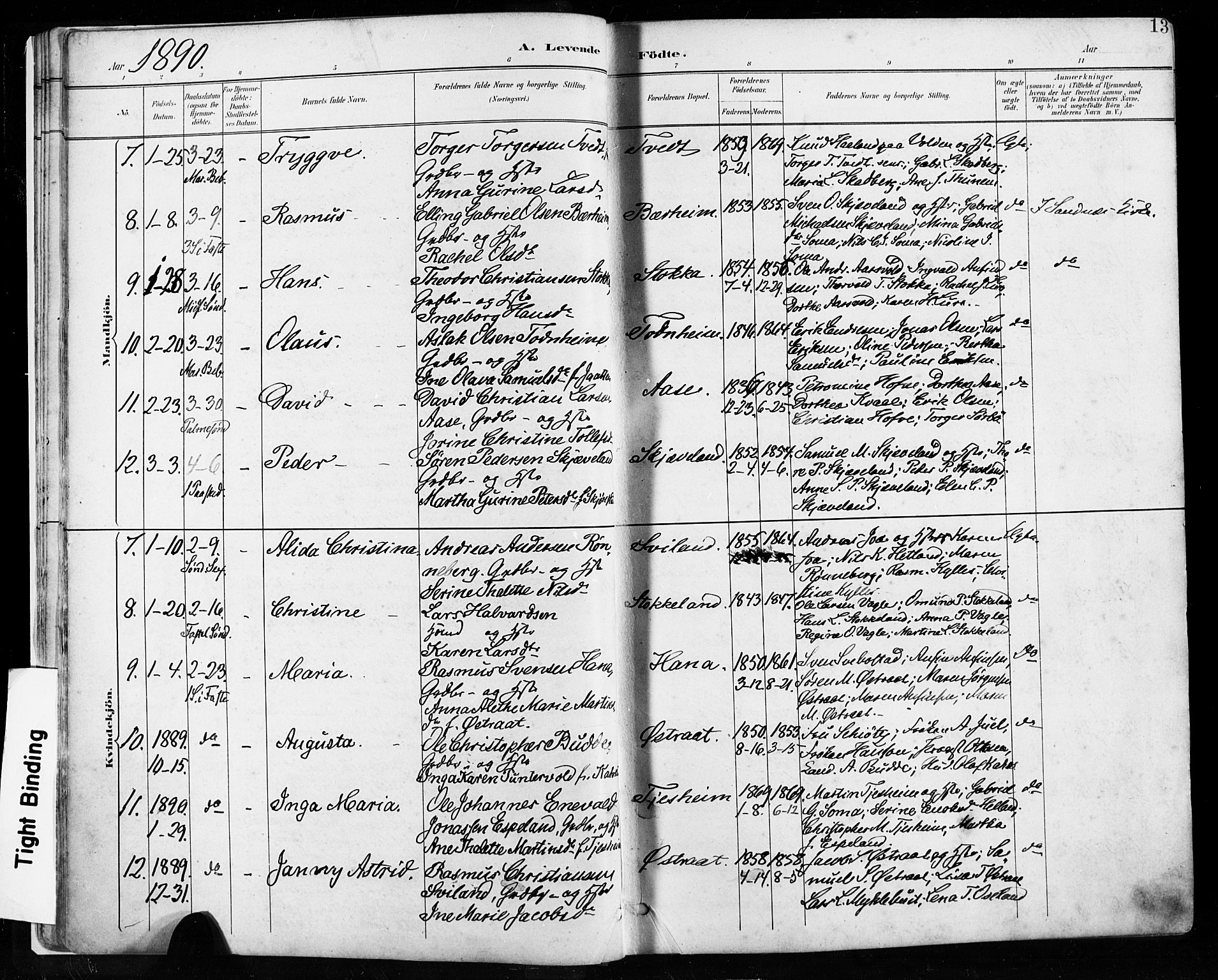 Høyland sokneprestkontor, AV/SAST-A-101799/001/30BA/L0013: Ministerialbok nr. A 13.1, 1889-1898, s. 13