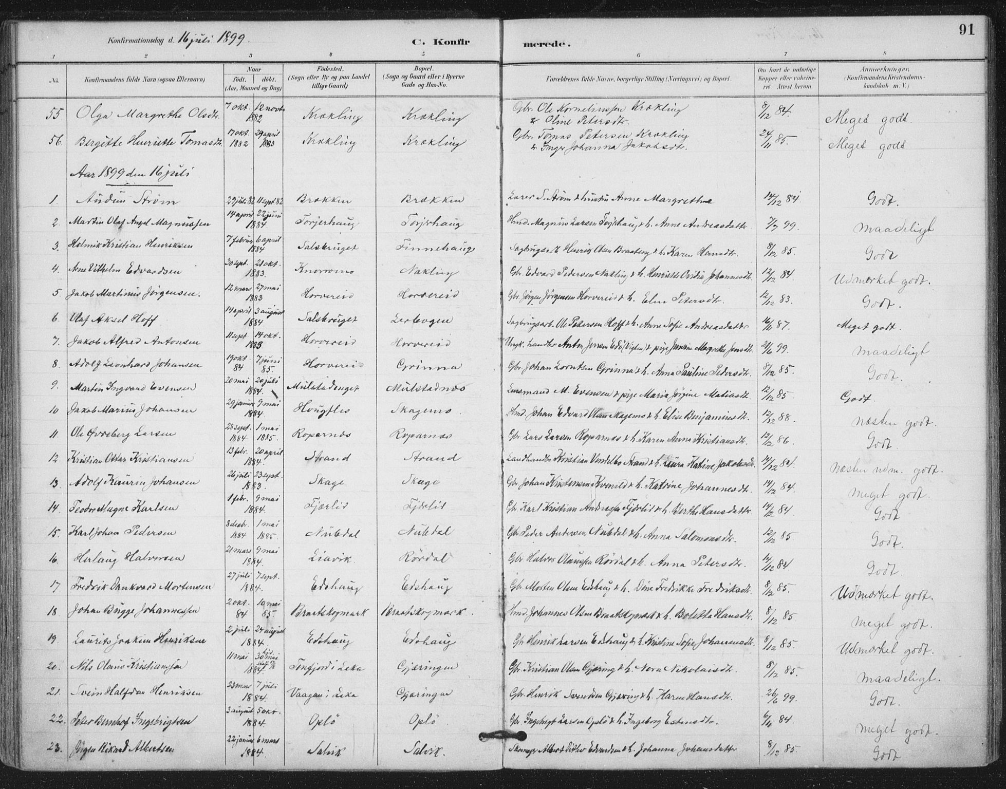 Ministerialprotokoller, klokkerbøker og fødselsregistre - Nord-Trøndelag, AV/SAT-A-1458/780/L0644: Ministerialbok nr. 780A08, 1886-1903, s. 91