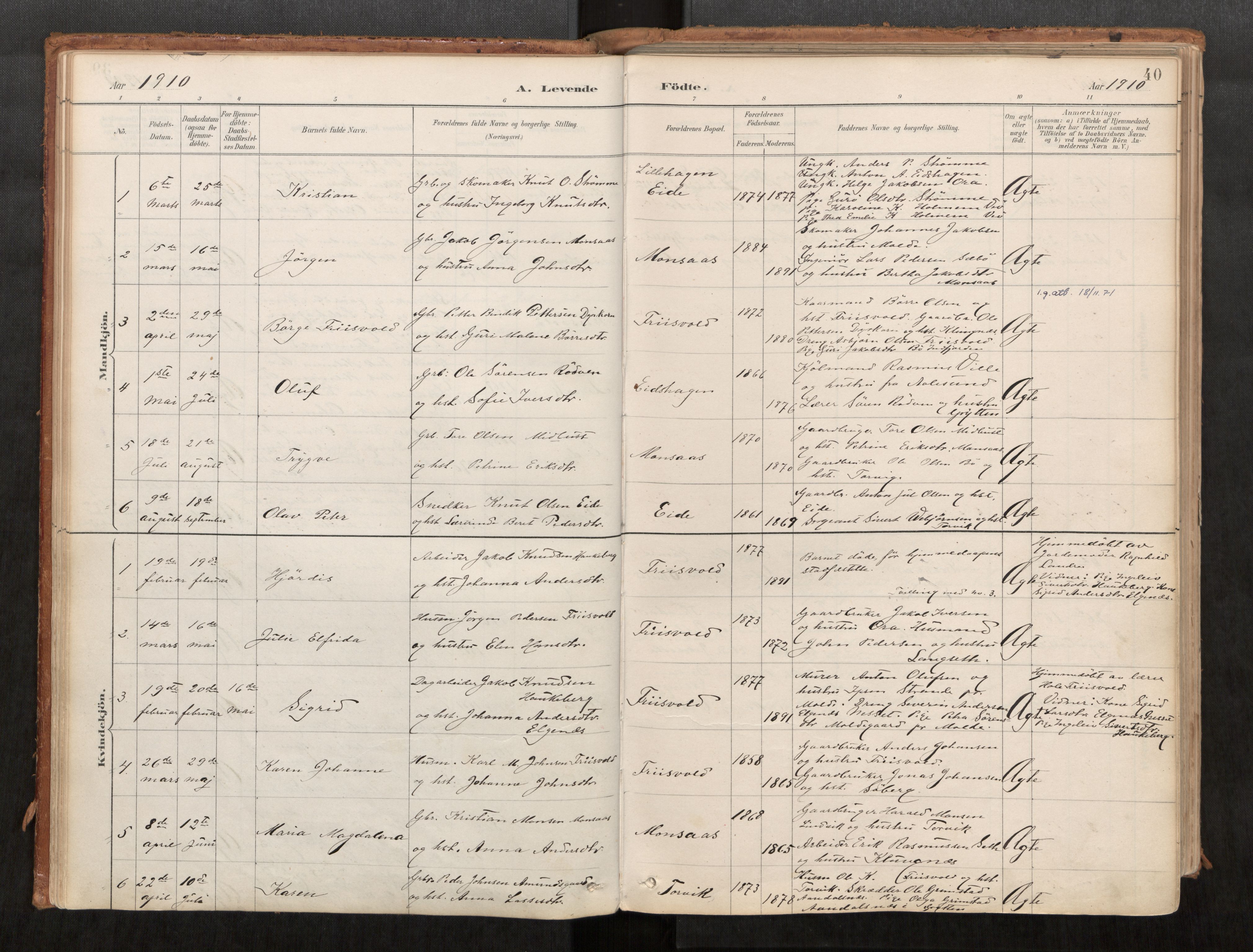 Ministerialprotokoller, klokkerbøker og fødselsregistre - Møre og Romsdal, AV/SAT-A-1454/542/L0553: Ministerialbok nr. 542A03, 1885-1925, s. 40