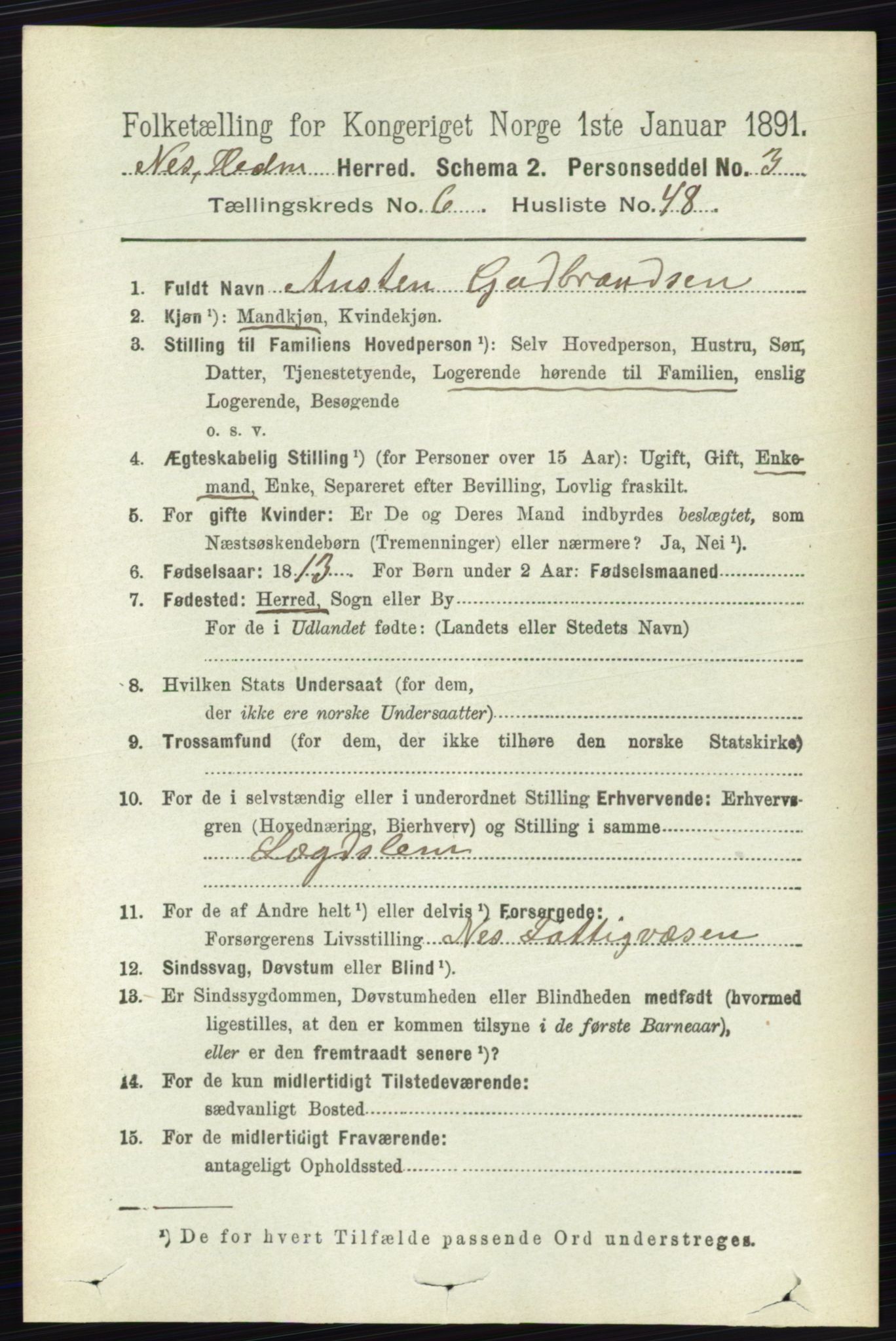 RA, Folketelling 1891 for 0411 Nes herred, 1891, s. 3557
