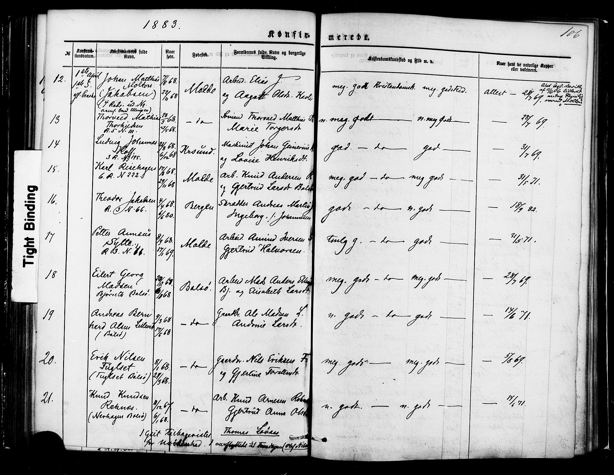Ministerialprotokoller, klokkerbøker og fødselsregistre - Møre og Romsdal, AV/SAT-A-1454/558/L0691: Ministerialbok nr. 558A05, 1873-1886, s. 106