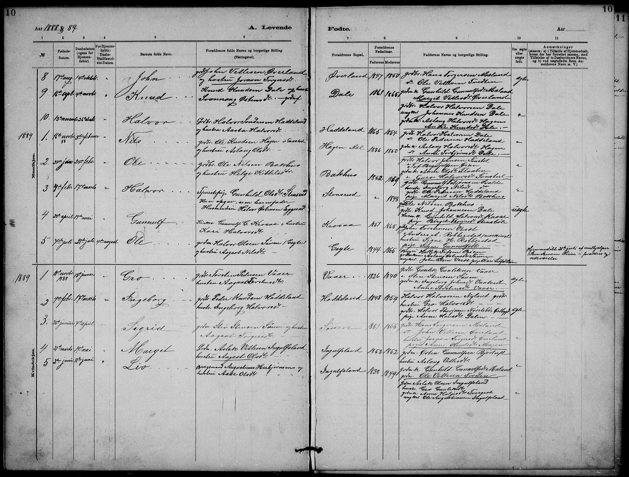 Rjukan kirkebøker, AV/SAKO-A-294/G/Ga/L0001: Klokkerbok nr. 1, 1880-1914, s. 10