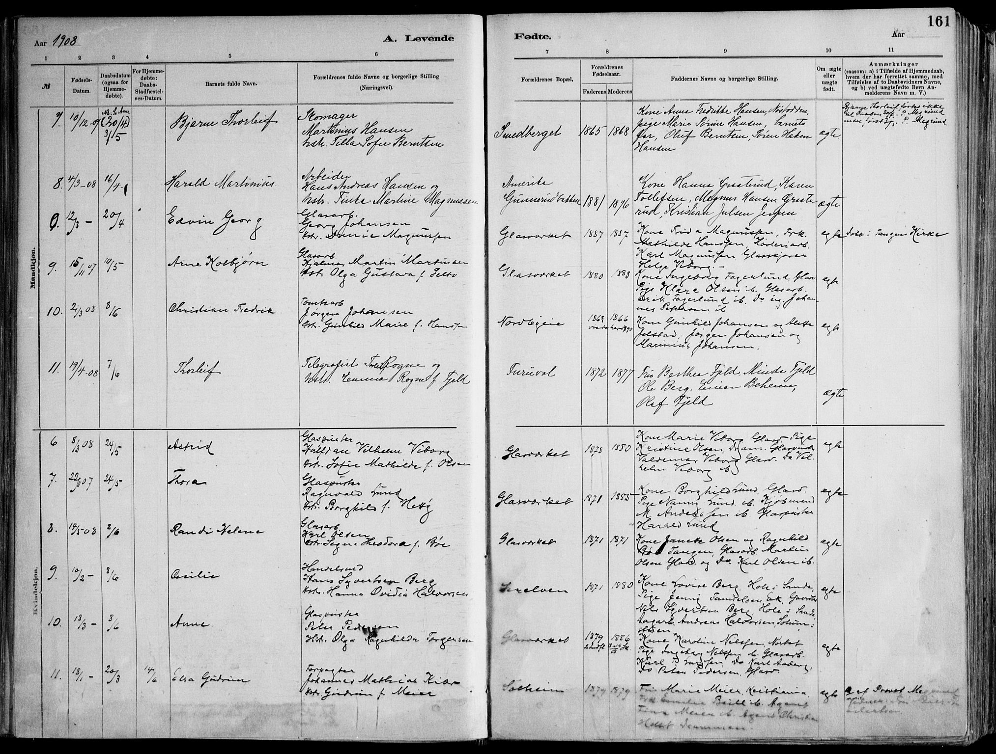 Skoger kirkebøker, AV/SAKO-A-59/F/Fa/L0006: Ministerialbok nr. I 6, 1885-1910, s. 161