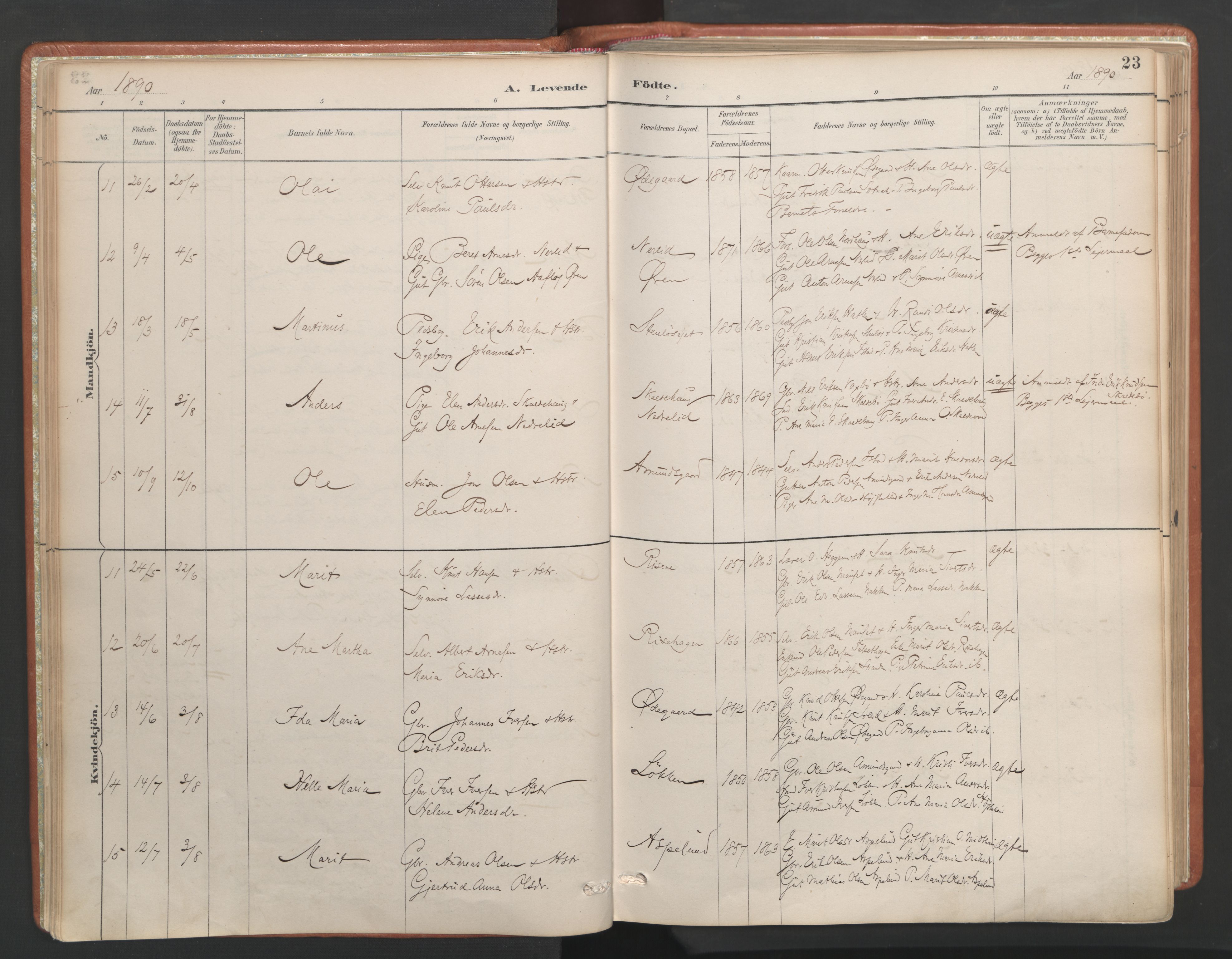 Ministerialprotokoller, klokkerbøker og fødselsregistre - Møre og Romsdal, AV/SAT-A-1454/557/L0682: Ministerialbok nr. 557A04, 1887-1970, s. 23