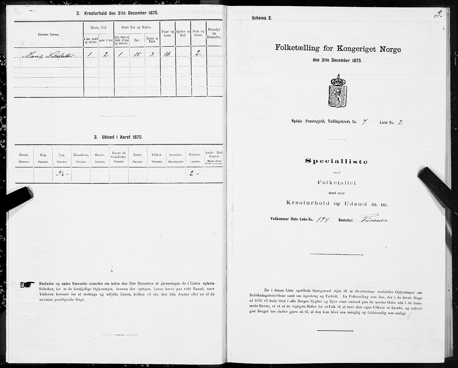 SAT, Folketelling 1875 for 1634P Oppdal prestegjeld, 1875, s. 4003