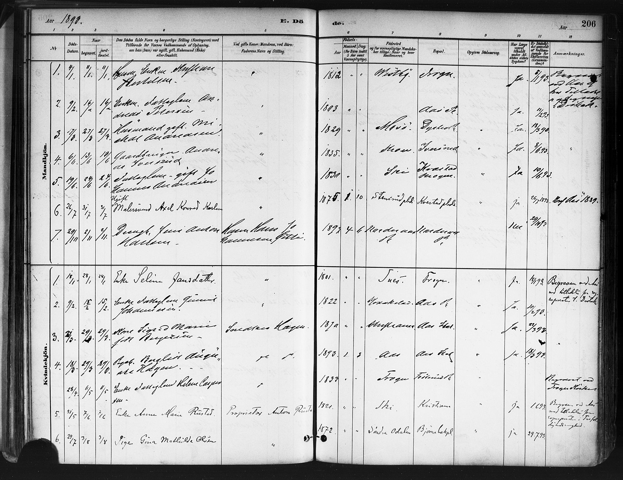 Ås prestekontor Kirkebøker, AV/SAO-A-10894/F/Fa/L0009: Ministerialbok nr. I 9, 1881-1900, s. 206