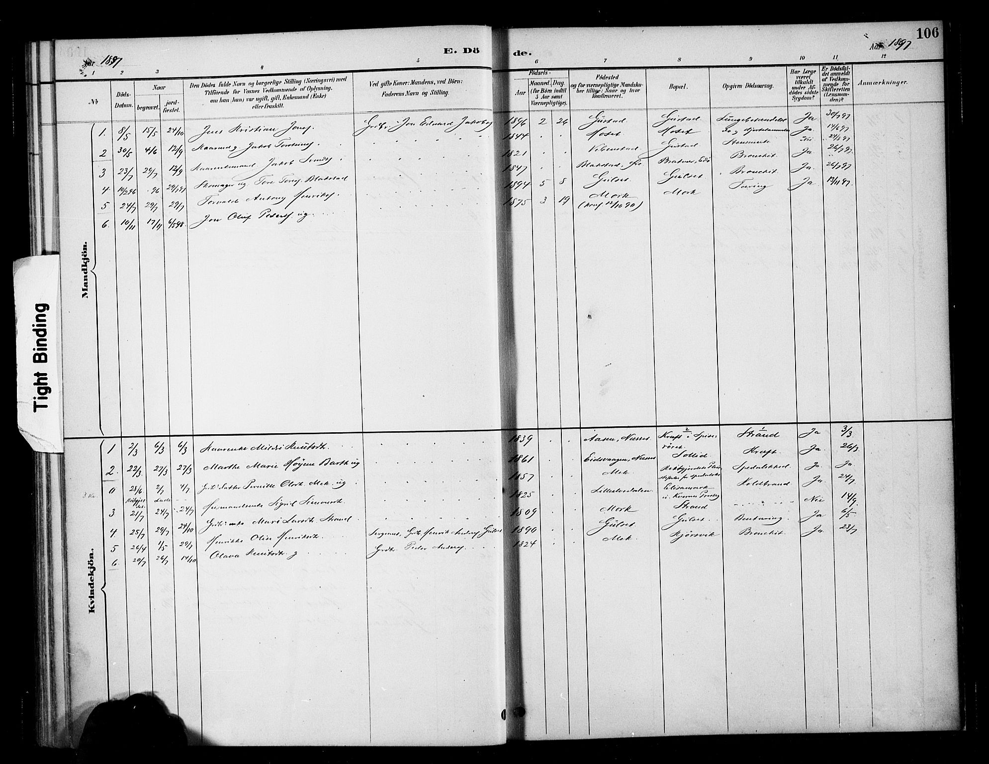 Ministerialprotokoller, klokkerbøker og fødselsregistre - Møre og Romsdal, AV/SAT-A-1454/568/L0809: Ministerialbok nr. 568A13, 1884-1900, s. 106