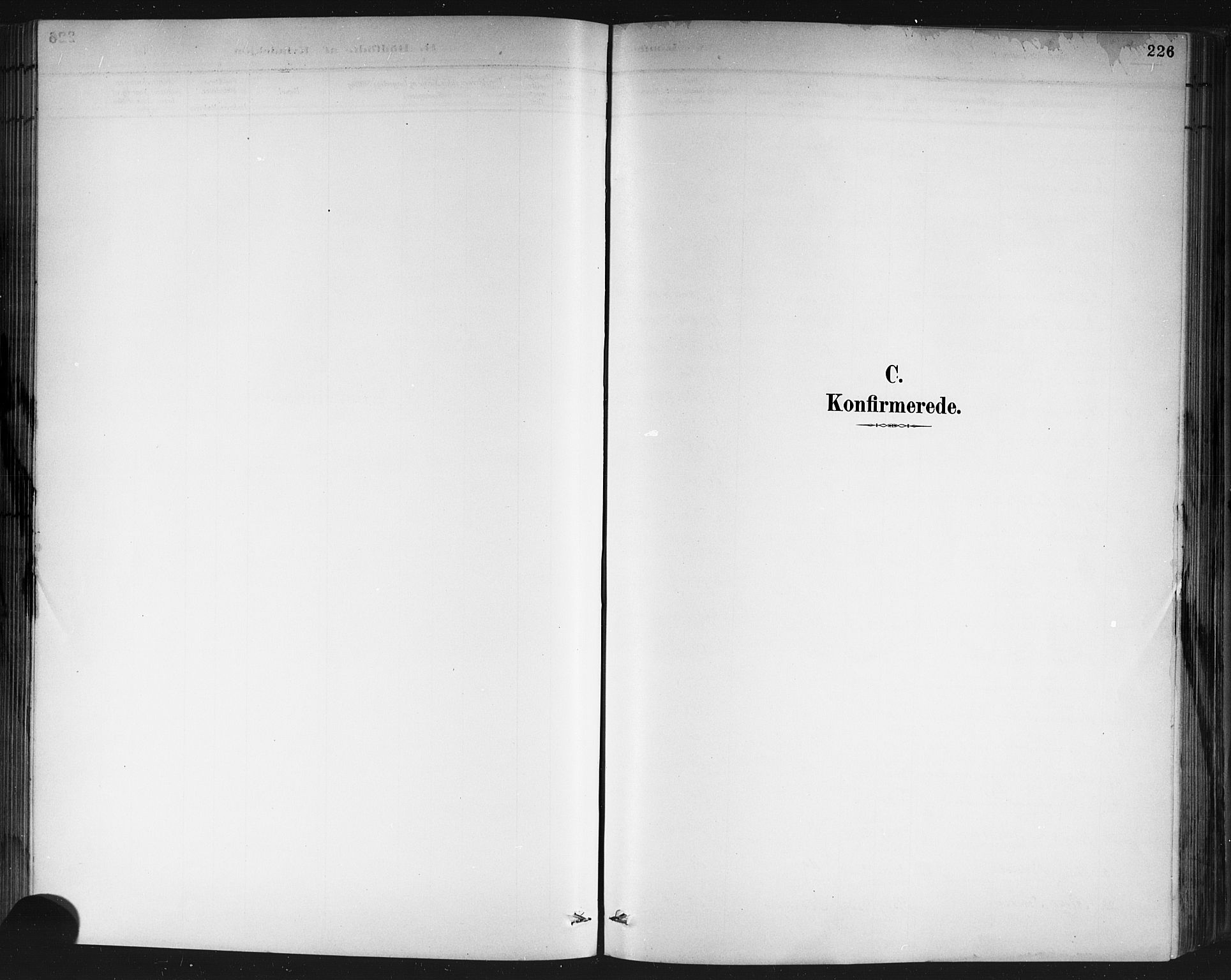 Porsgrunn kirkebøker , AV/SAKO-A-104/G/Gb/L0005: Klokkerbok nr. II 5, 1883-1915, s. 226
