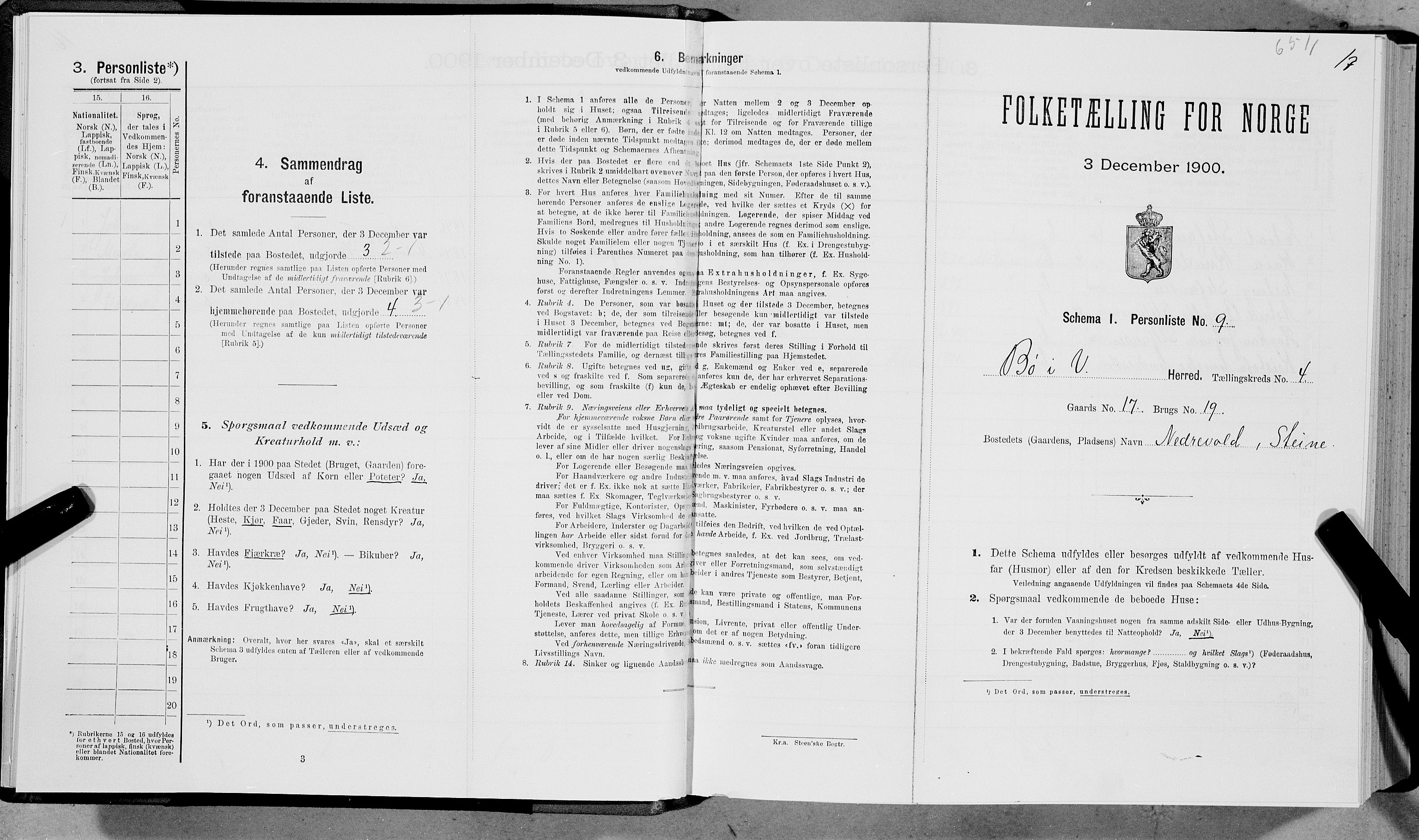 SAT, Folketelling 1900 for 1867 Bø herred, 1900, s. 428
